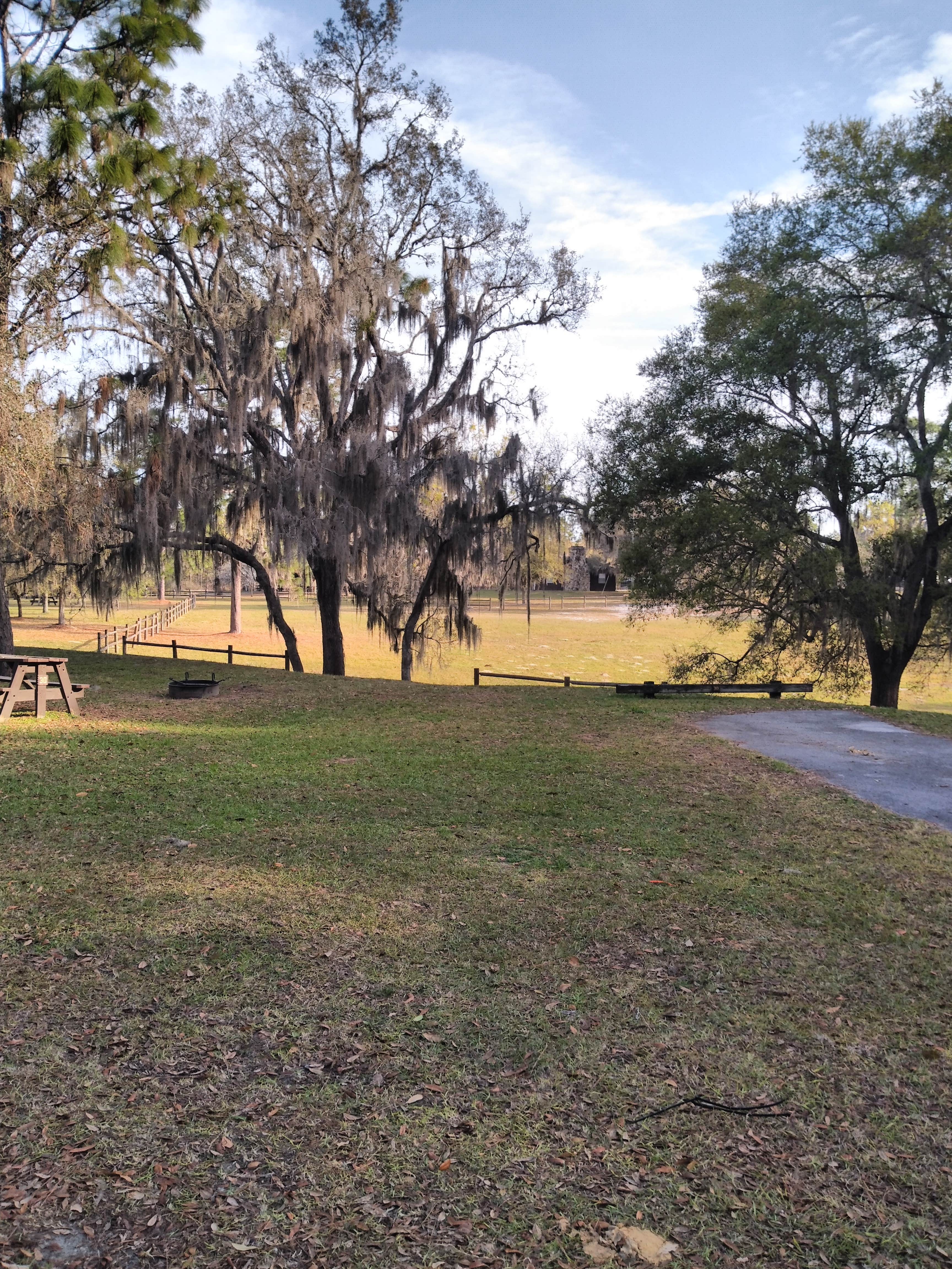 Camper-submitted photo at Tillis Hill Equestrian Campground — Withlacoochee State Forest near Hernando, FL