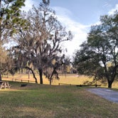Review photo of Tillis Hill  Recreation Area - Withlacoochee State Forest by Robert M., March 3, 2020