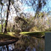 Review photo of Encore Clover Leaf Forest RV Resort by Robert M., March 3, 2020