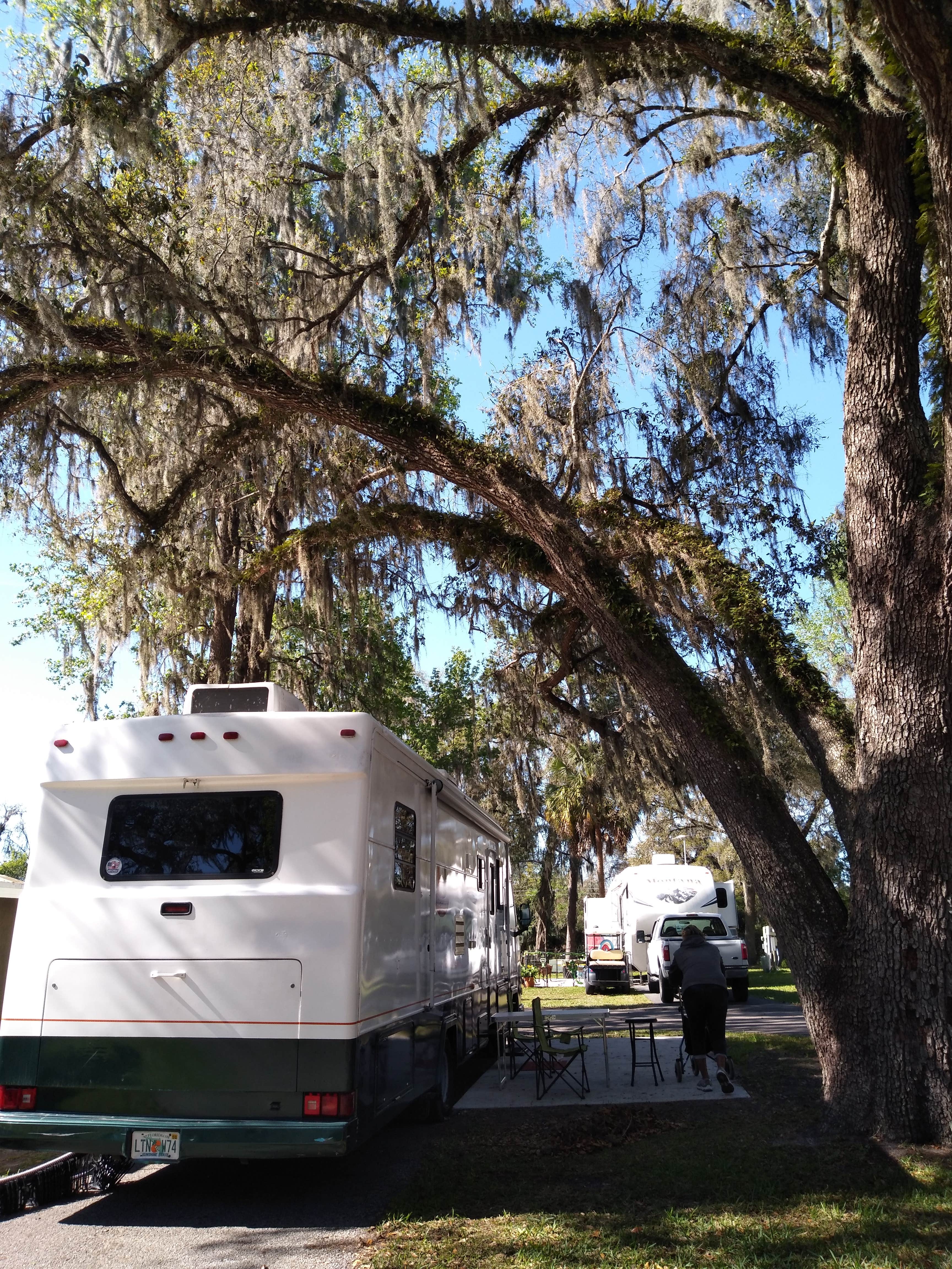Robert M.'s photo of rv camping at Encore Clover Leaf Forest RV Resort near Brooksville, FL