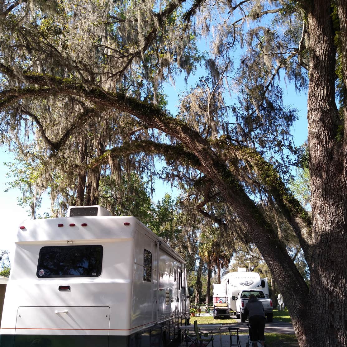 Clover Leaf Forest RV Resort | The Dyrt