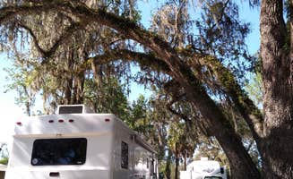 Robert M.'s photo of rv camping at Encore Clover Leaf Forest RV Resort near Lake Panasoffkee, FL