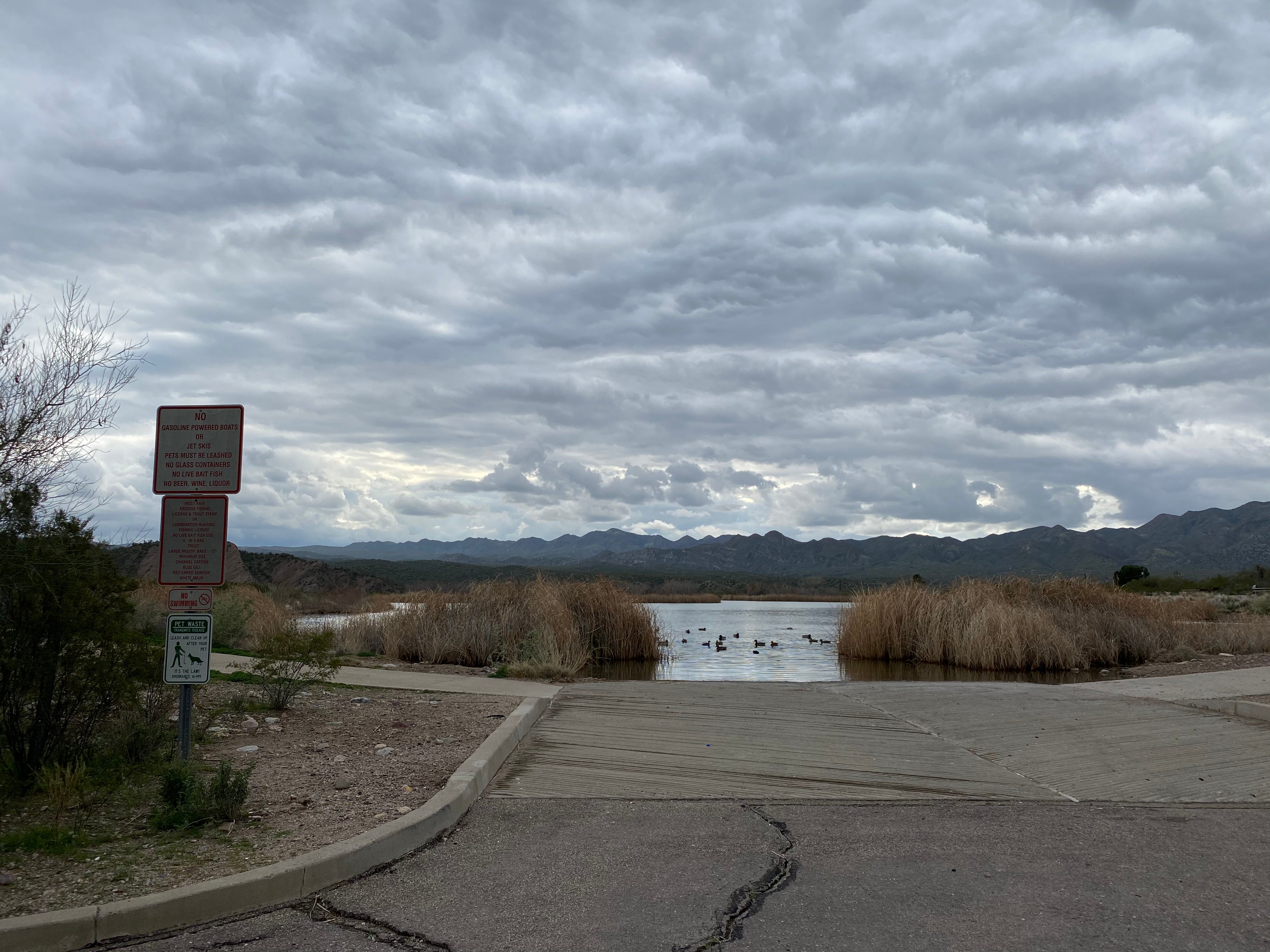 Camper submitted image from Kearny Lake City Park - 2