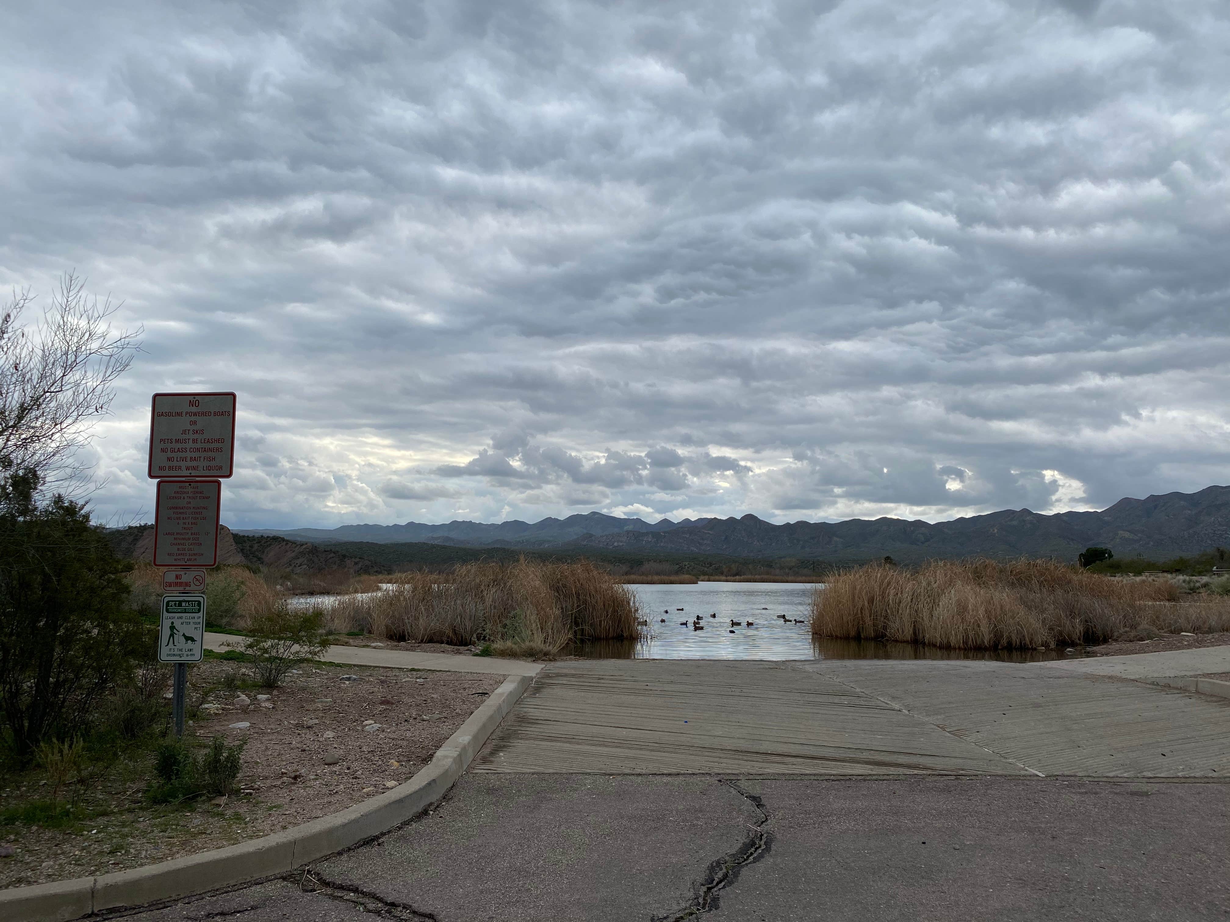 Kearny Lake City Park | The Dyrt