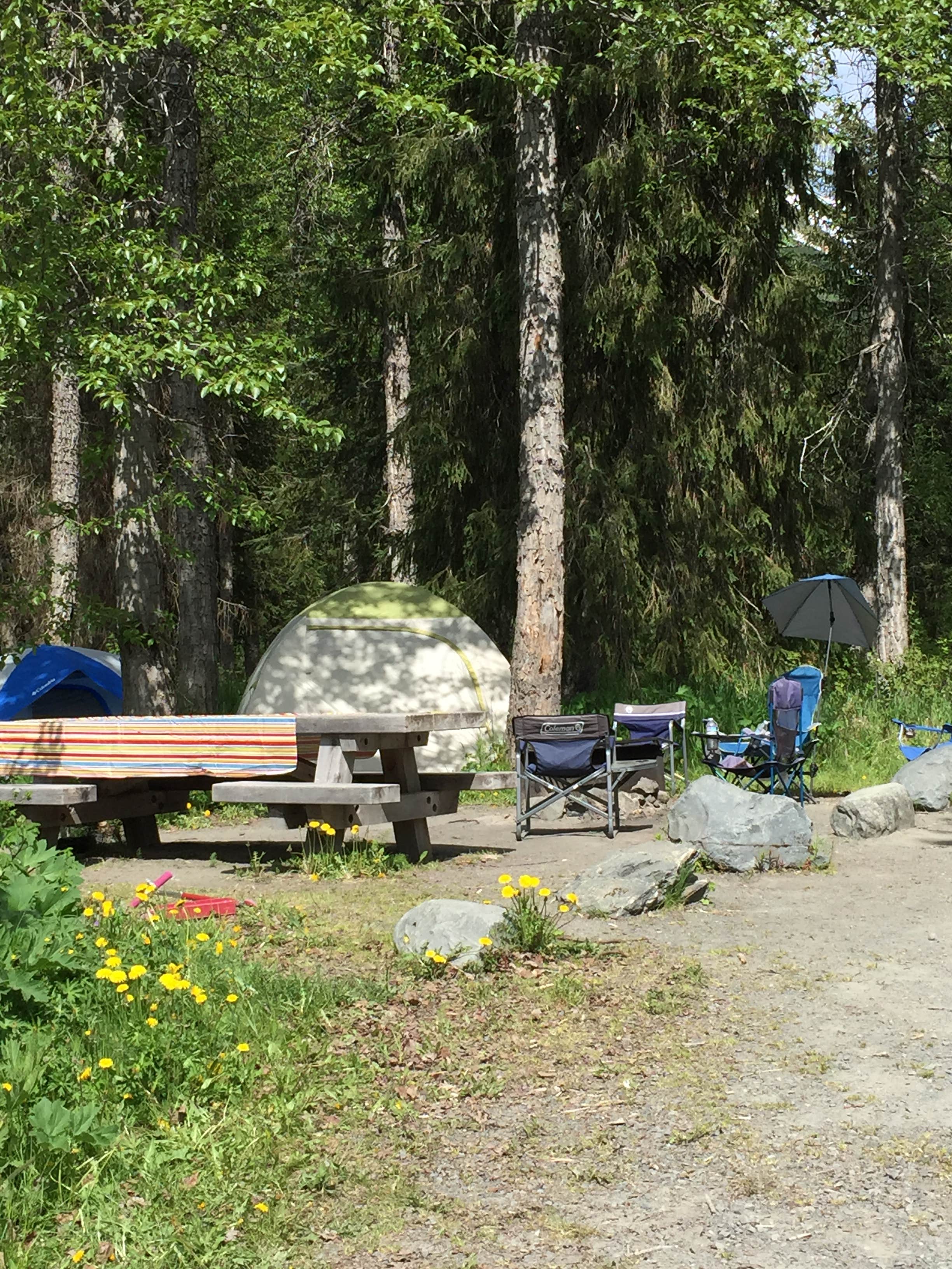 Camper submitted image from Bertha Creek Campground — Chugach National Forest - 3