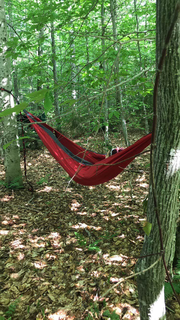 Camper submitted image from Limekiln Lake Campground - 3