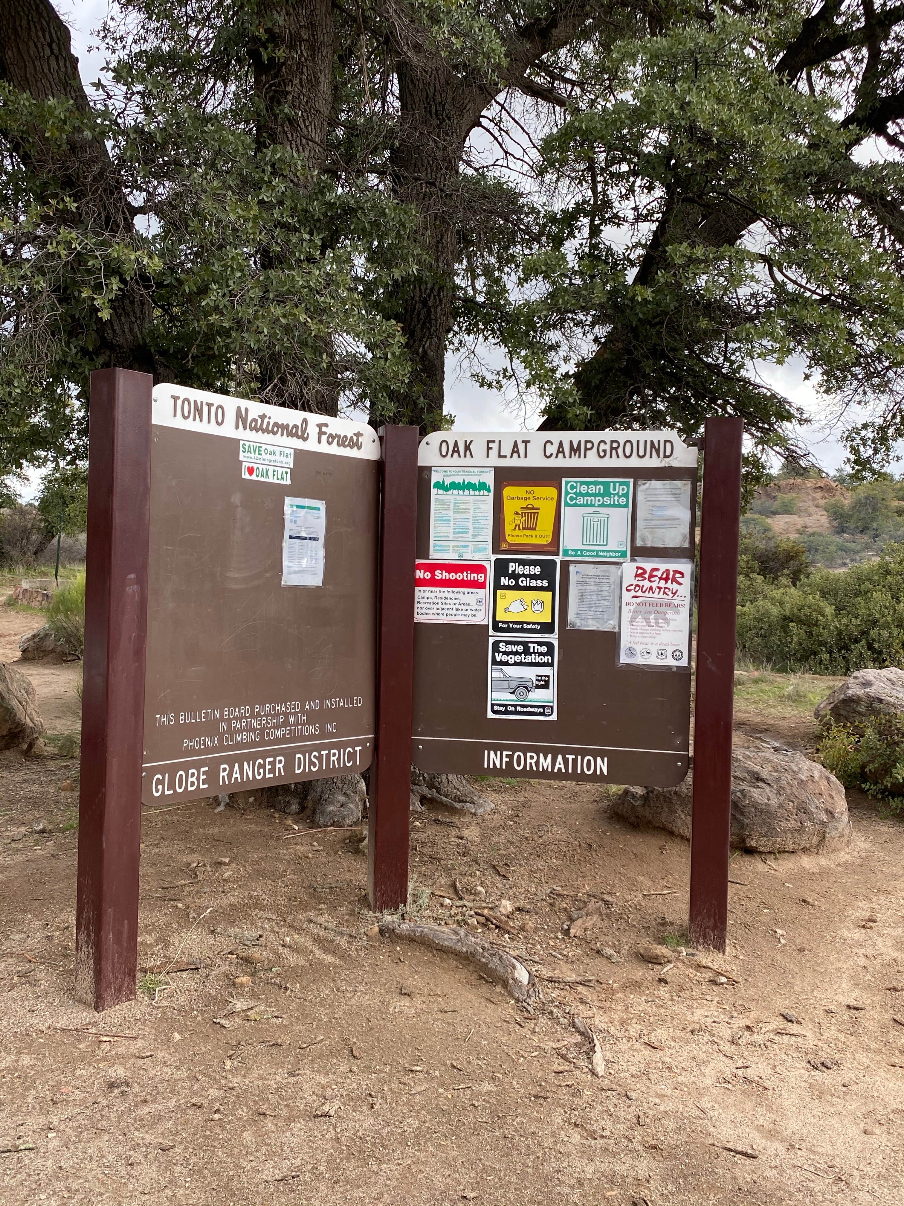 Camper submitted image from Oak Flat Campground - 4
