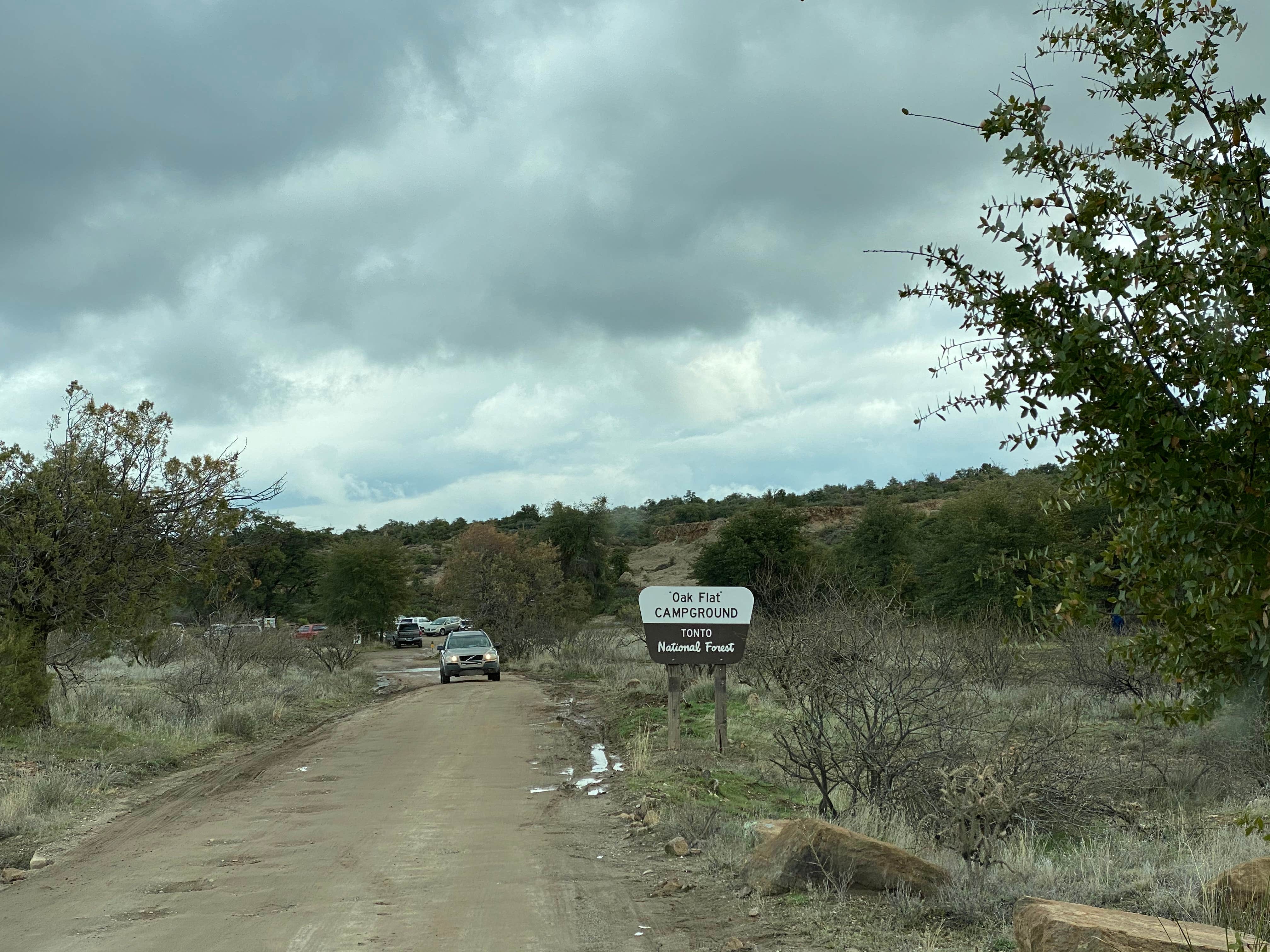Camper-submitted photo at Oak Flat Campground near Superior, AZ