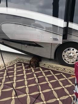 Camper-submitted photo at Ho-Hum RV Park near Eastpoint, FL