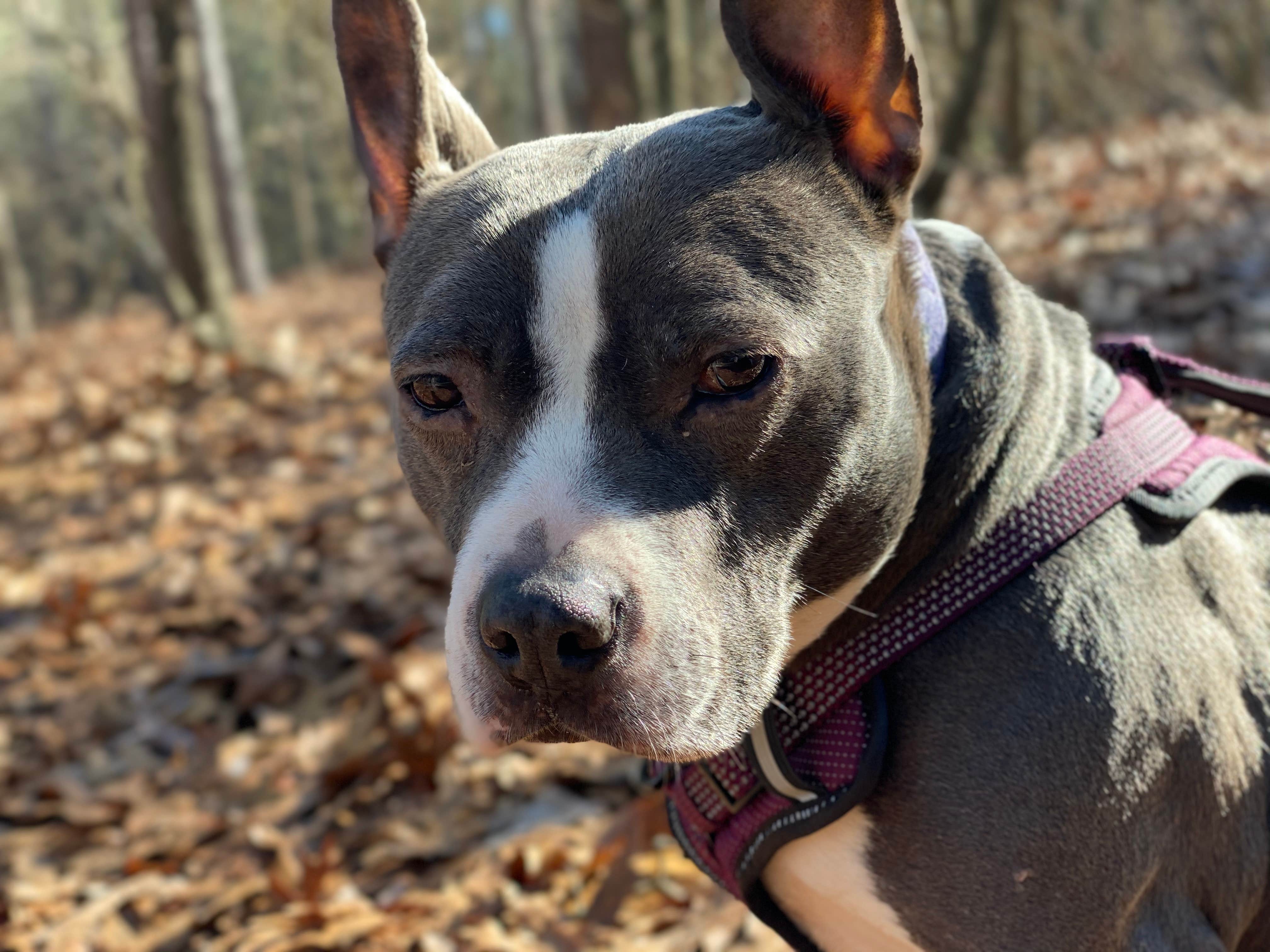 Camper-submitted photo at The Farm Campground near Bishopville, SC