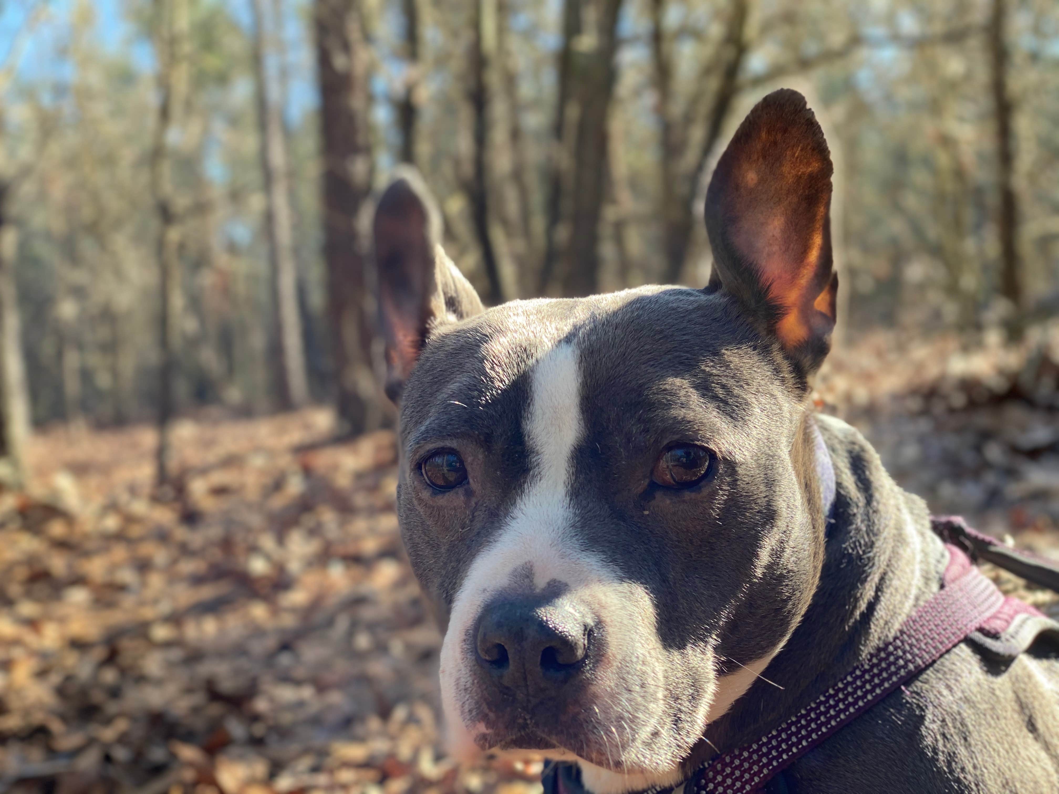 Camper-submitted photo at The Farm Campground near Bishopville, SC