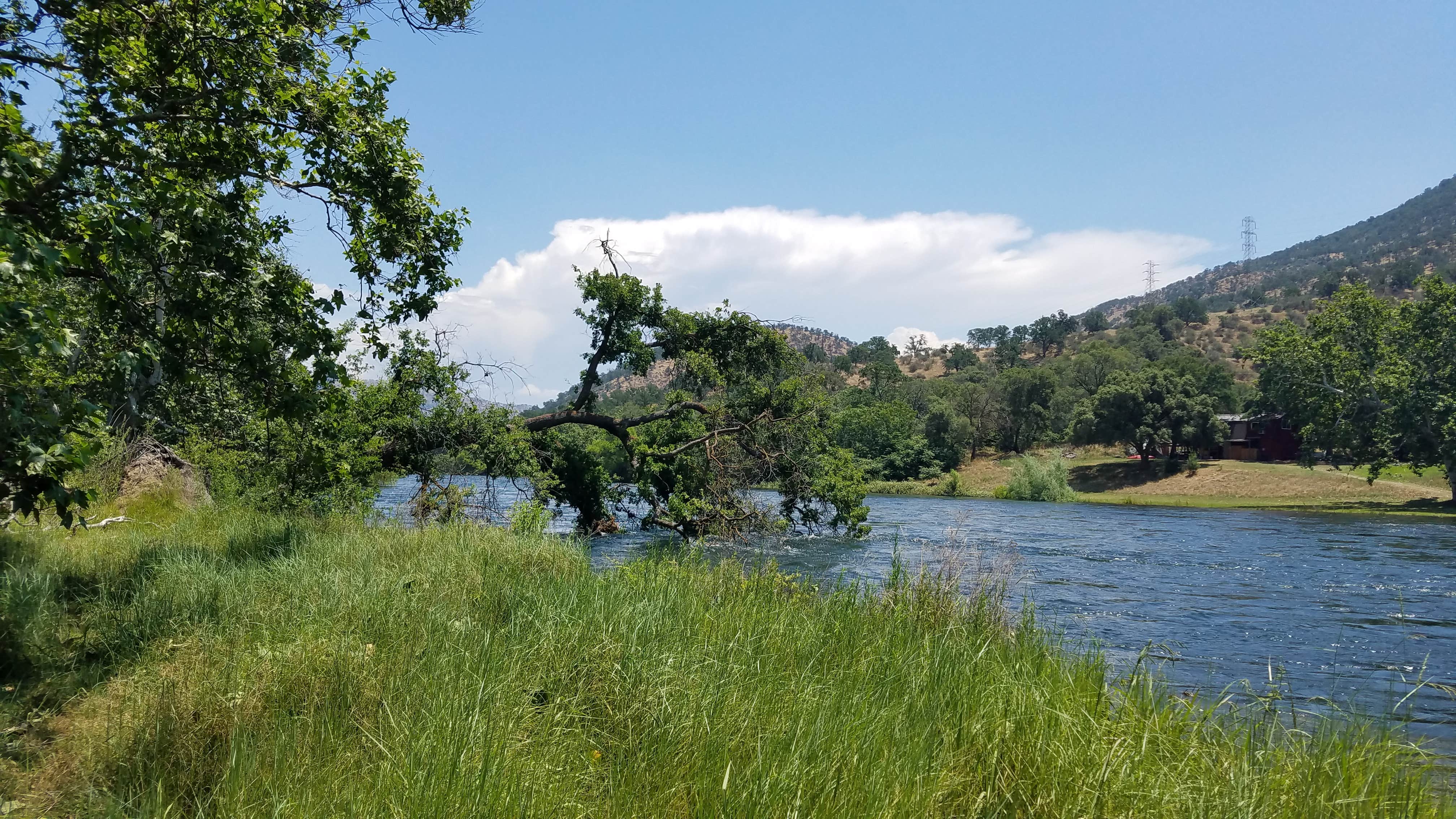 Camper-submitted photo at Choinumni Park near Reedley, CA