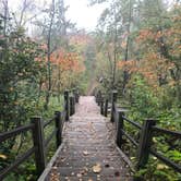 Review photo of Temperance River State Park Campground by Joanna B., January 3, 2020