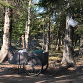 Review photo of Temperance River State Park Campground by Joanna B., January 3, 2020