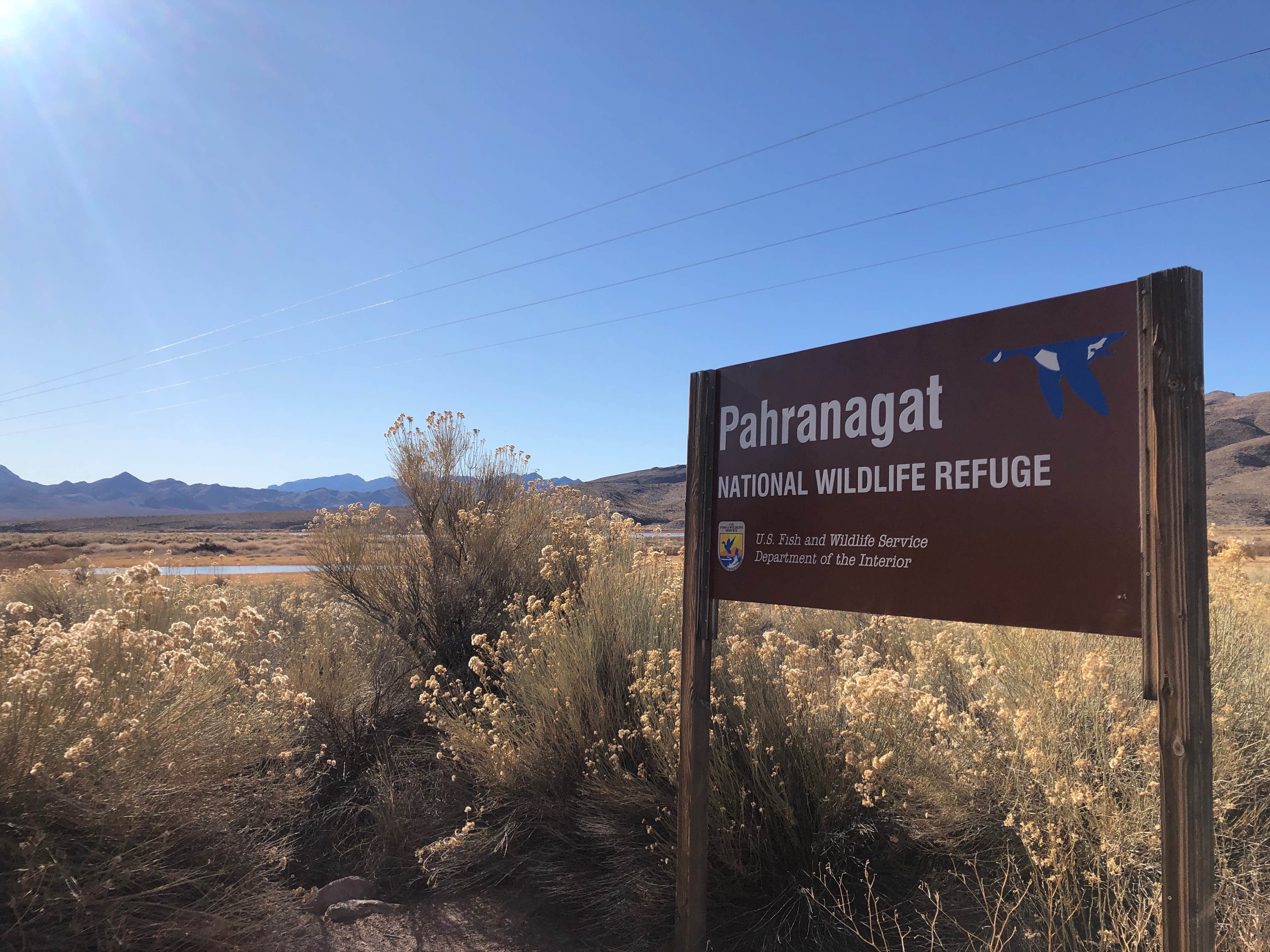 Camper-submitted photo at Upper Campground - Pahranagat National Wildlife Refuge in Nevada