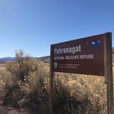 Review photo of Upper Campground - Pahranagat National Wildlife Refuge by Hayley K., March 4, 2020