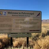 Review photo of Upper Campground - Pahranagat National Wildlife Refuge by Hayley K., March 4, 2020