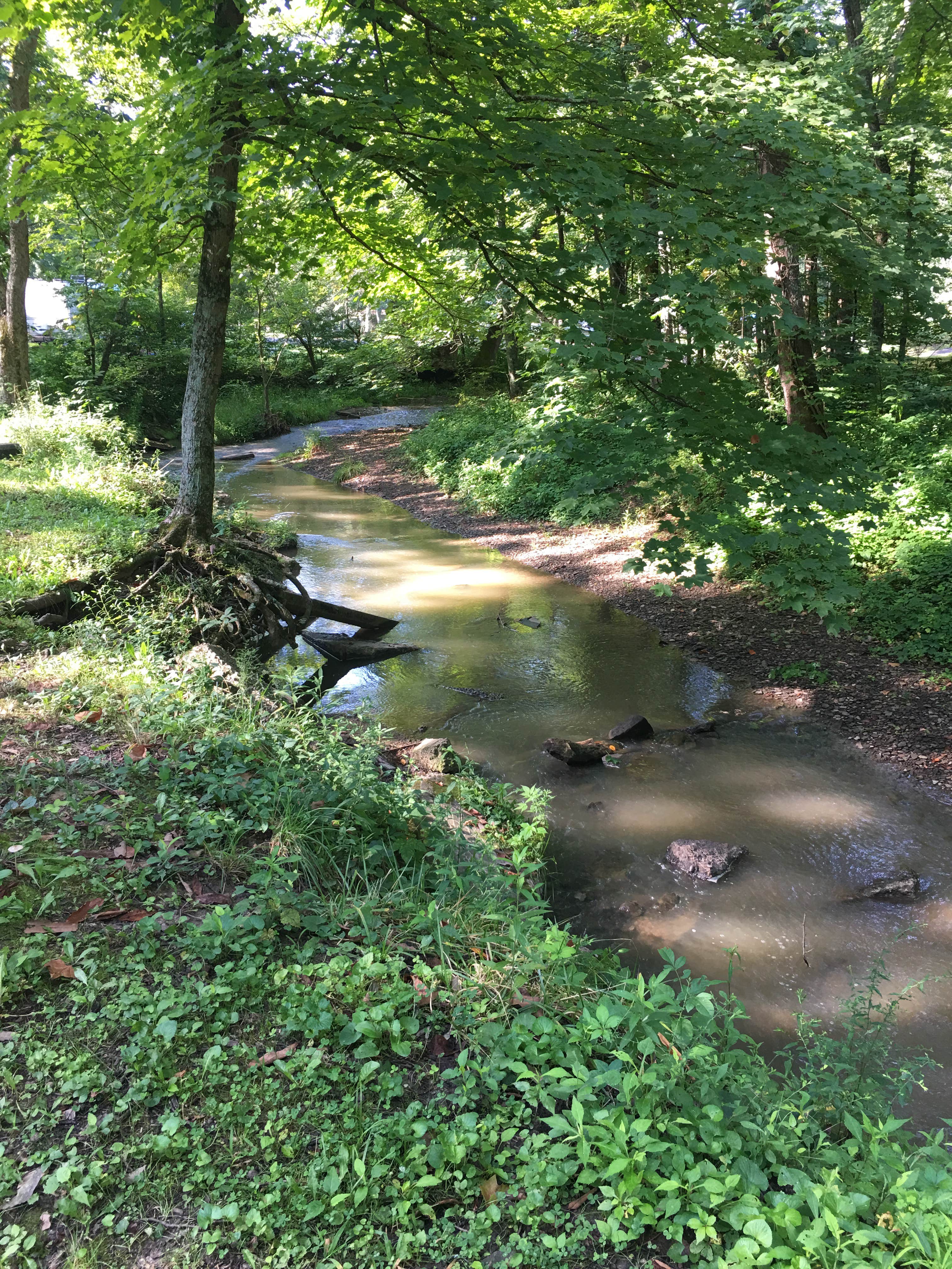 Blue Rock State Park The Dyrt