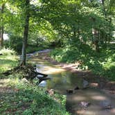 Review photo of Blue Rock State Park Campground by Nicole C., September 2, 2017