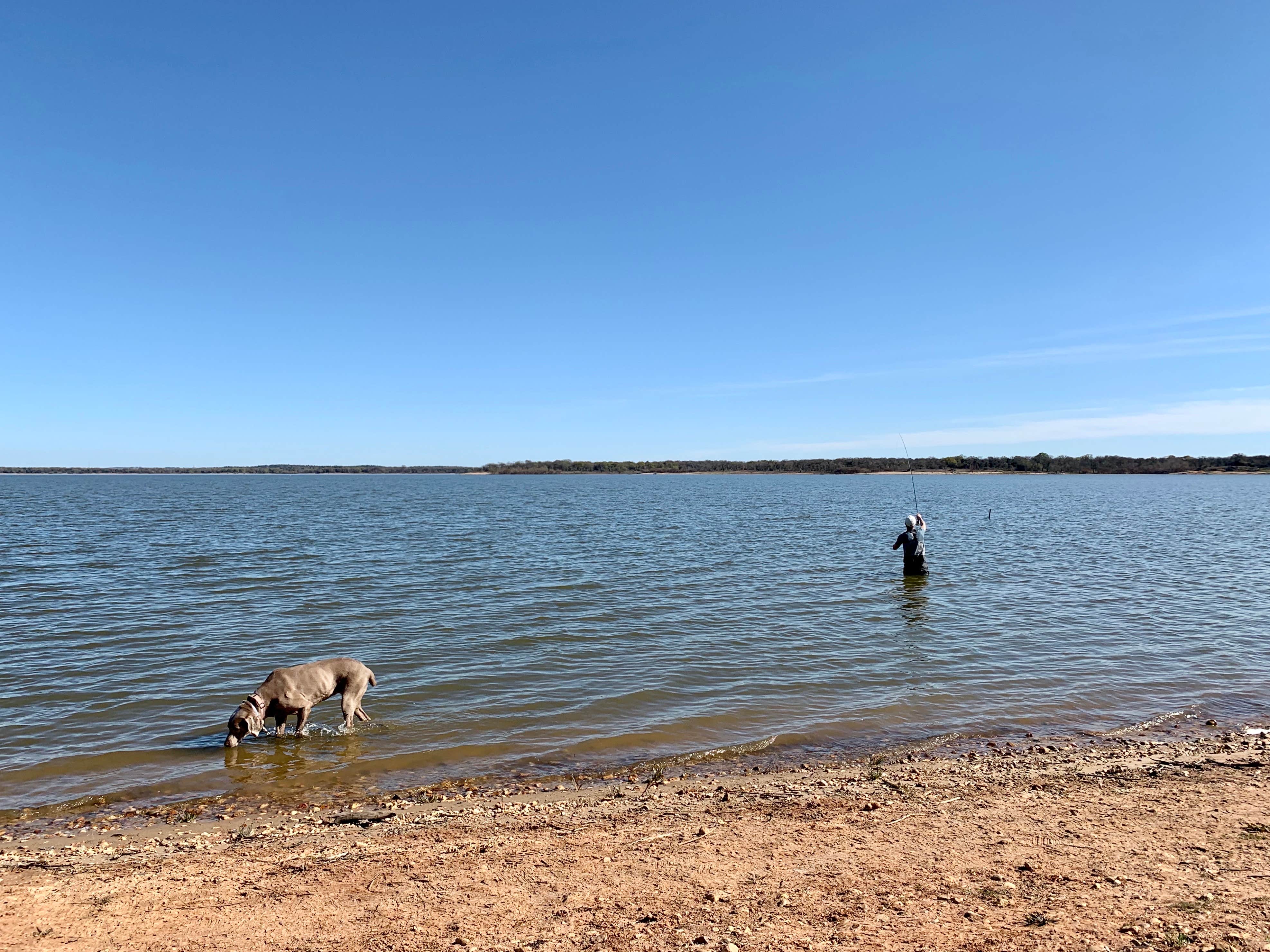 Camper submitted image from Lake Somerville State Park Birch Creek Unit Campground - 2