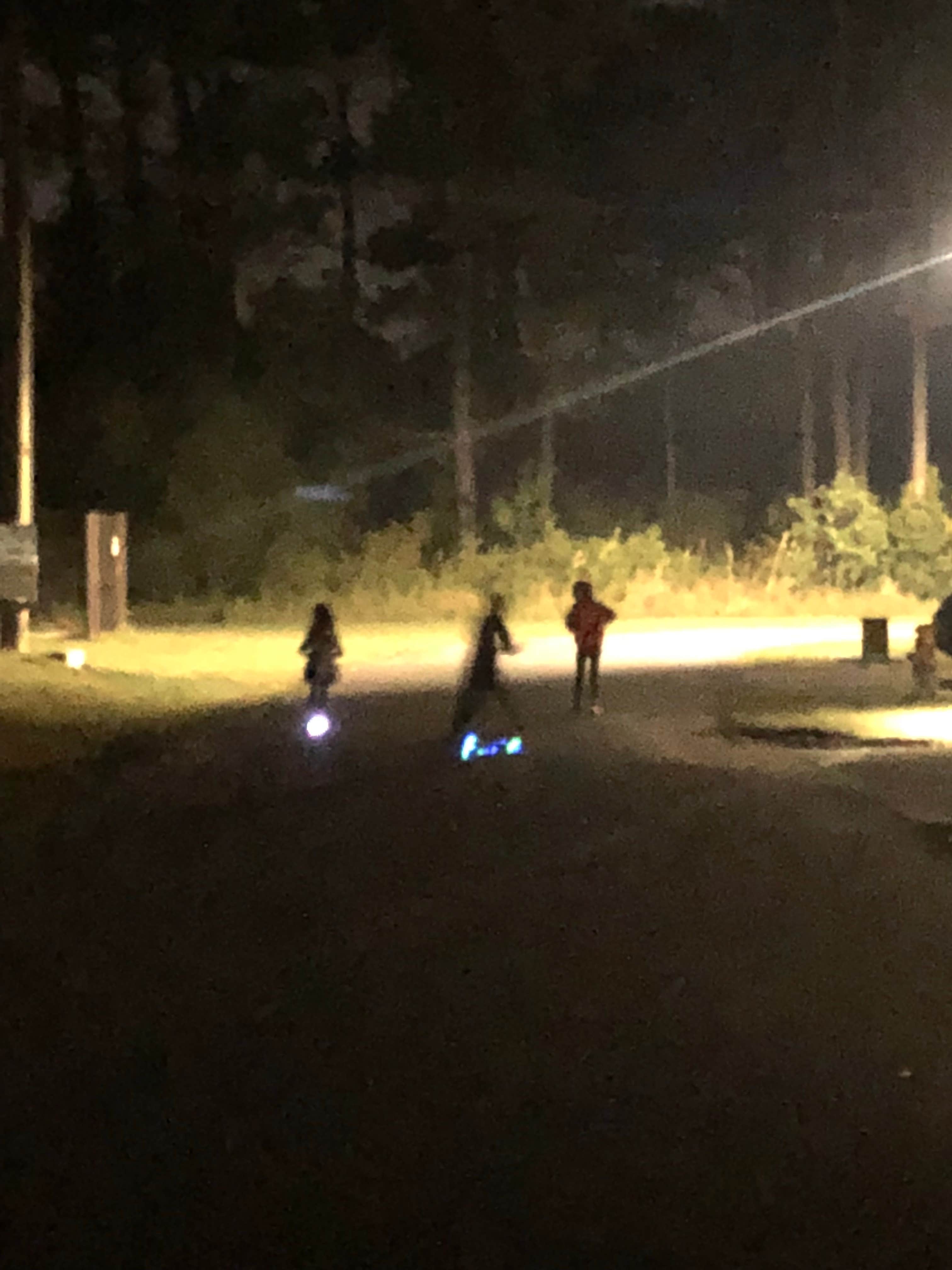 Camper submitted image from Shields RV Park - 4
