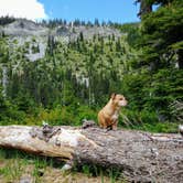 Review photo of Pamelia Lake by Mandy E., August 31, 2018