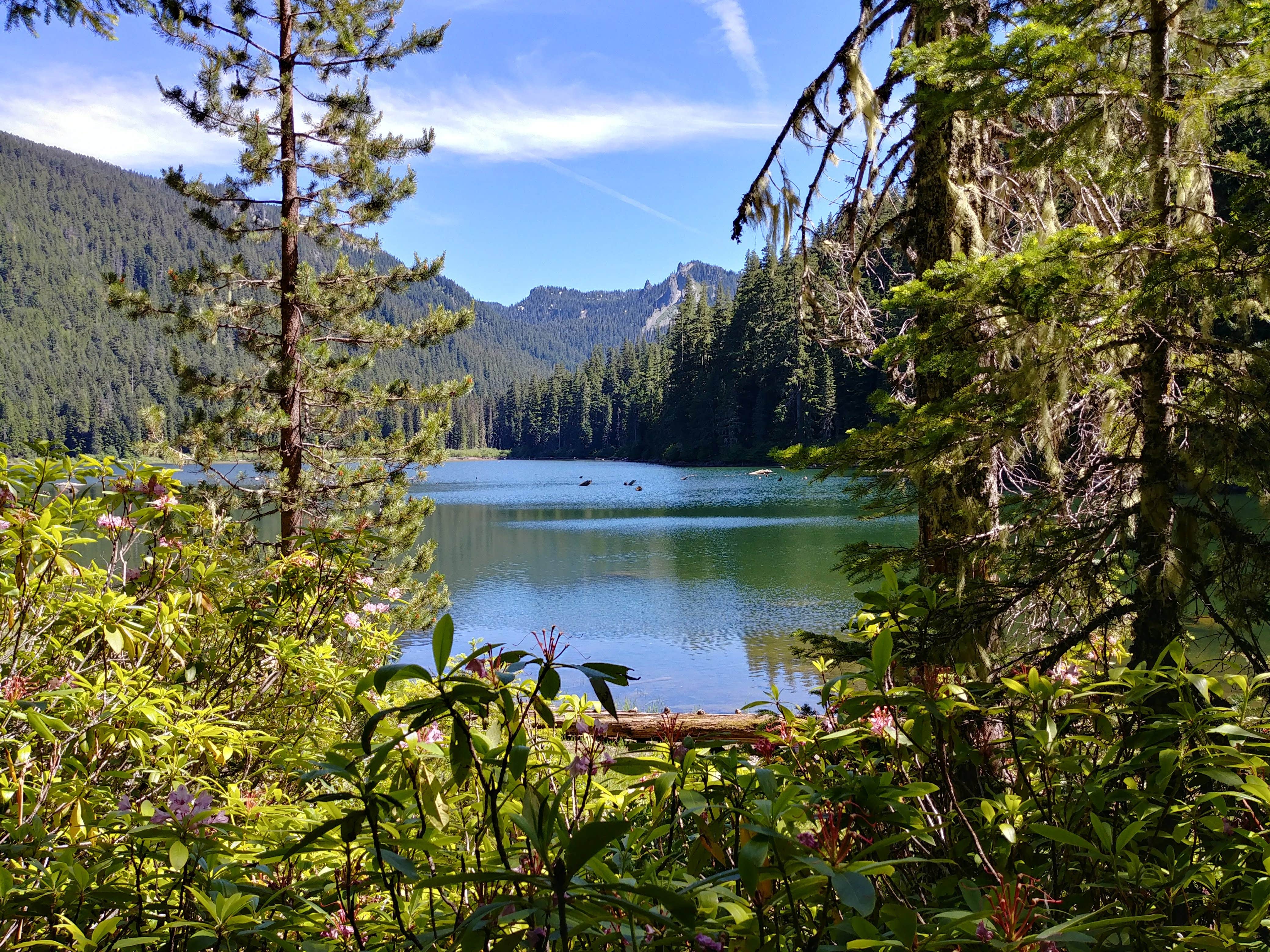 Camper-submitted photo at Pamelia Lake near Detroit, OR