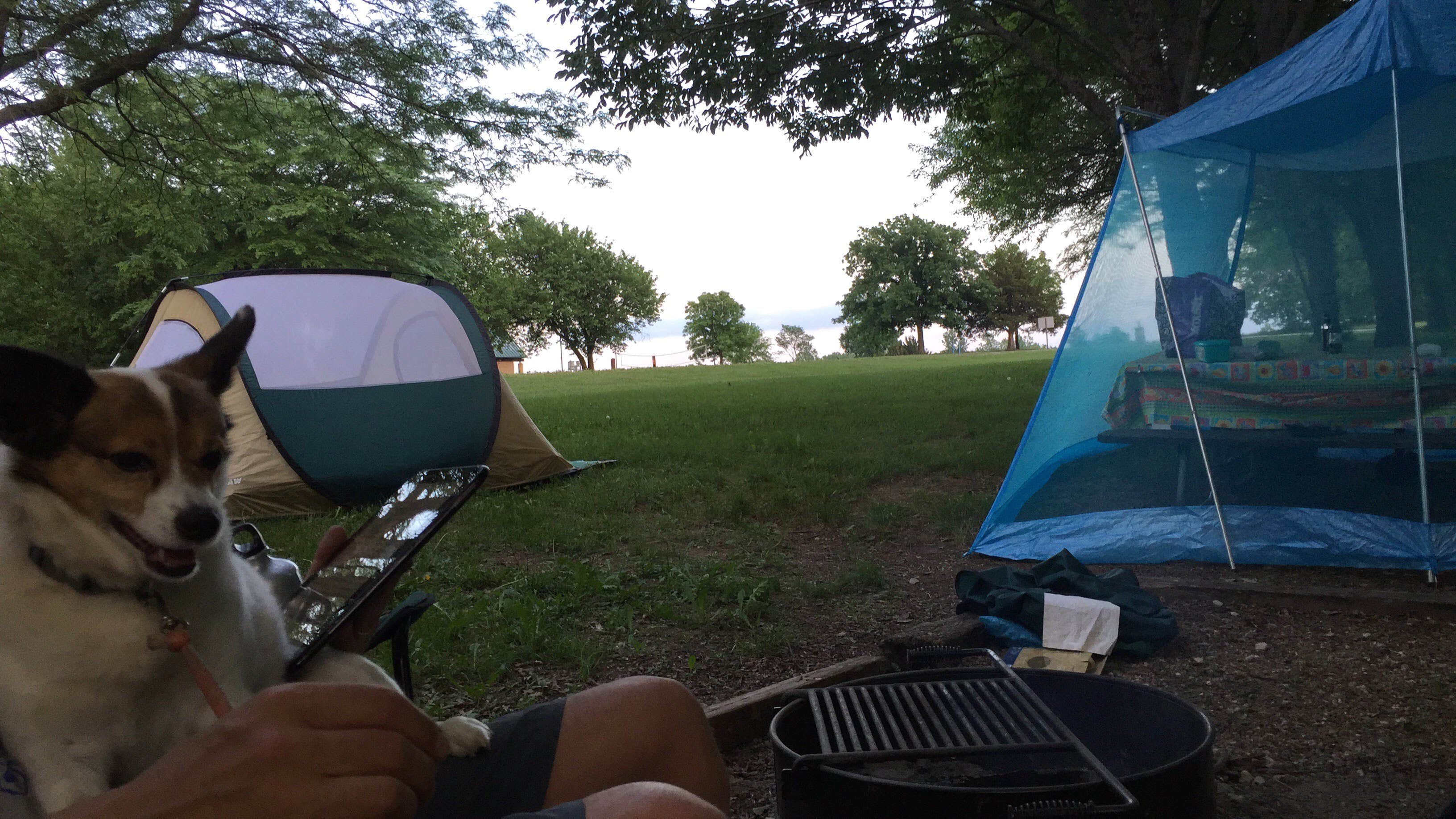 Camper submitted image from Crappie Cove Campground - 2