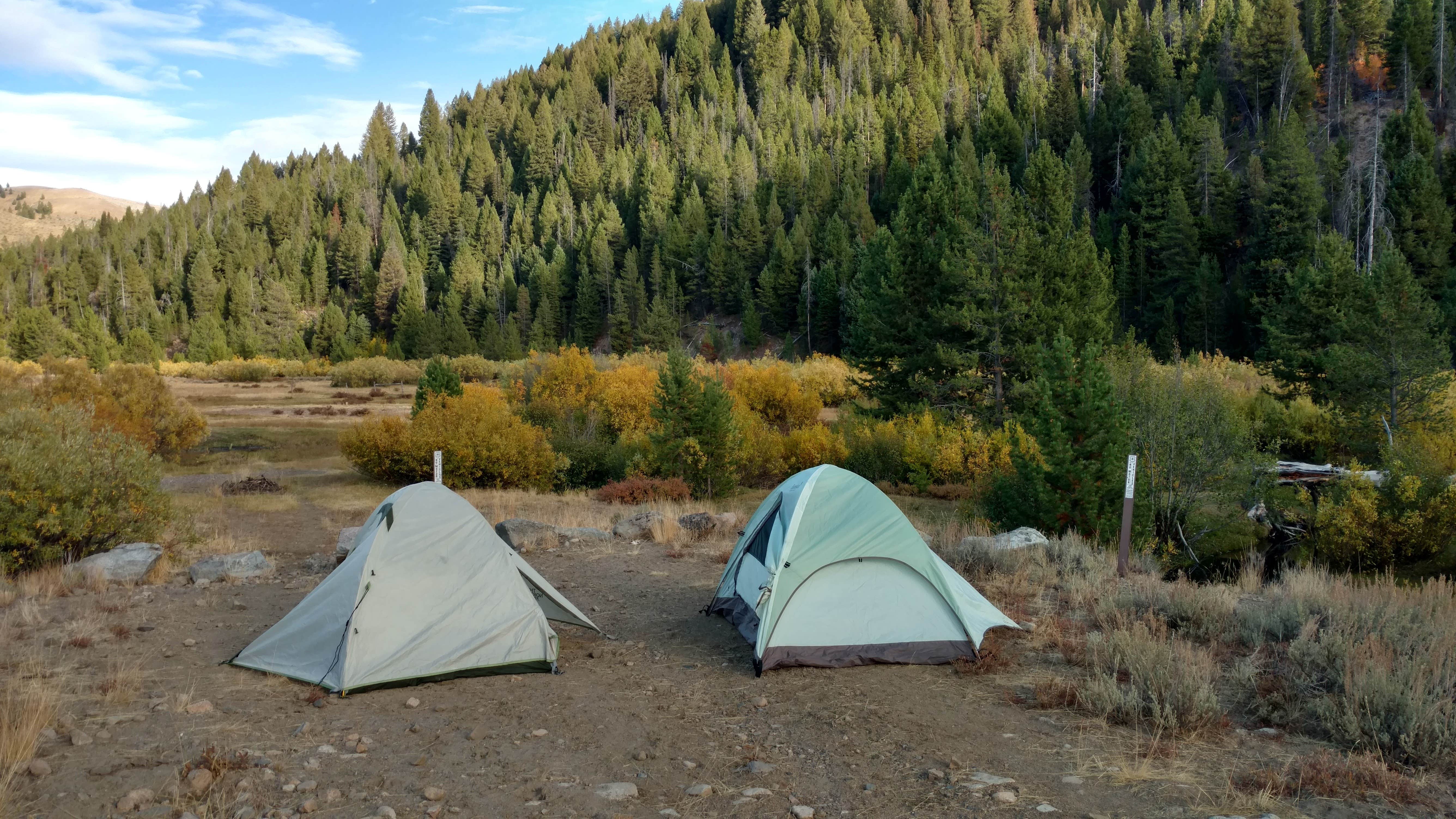 Steve S.'s photo of tent camping at Carrie Creek Campground near Stanley, ID