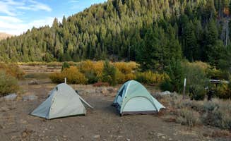 Steve S.'s photo of tent camping at Carrie Creek Campground near Richfield, ID