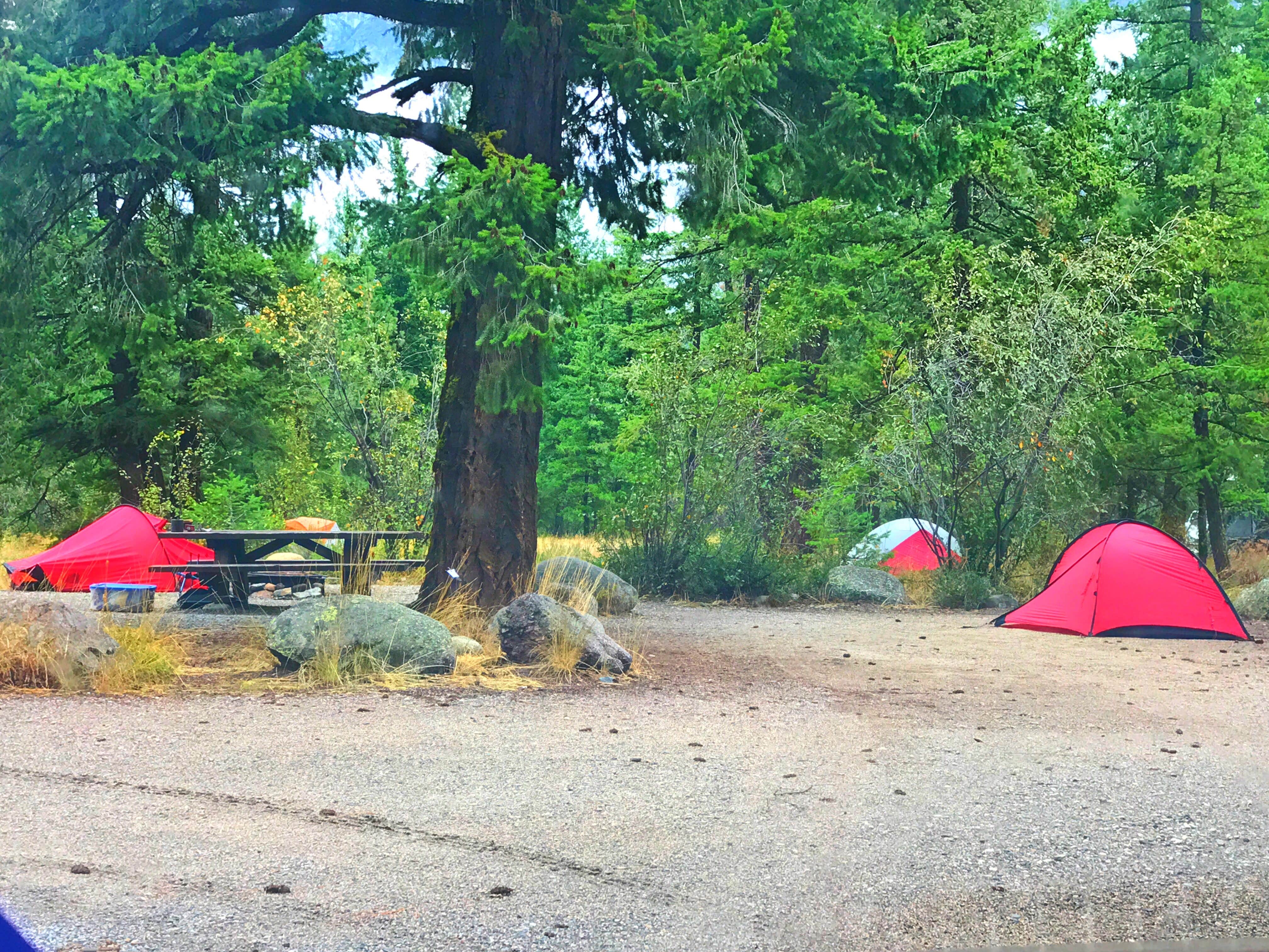 Crystal C.'s photo at Early Winters Campground near Mazama, WA