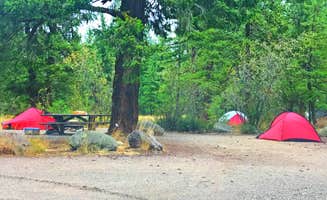 Crystal C.'s photo at Early Winters Campground near Winthrop, WA
