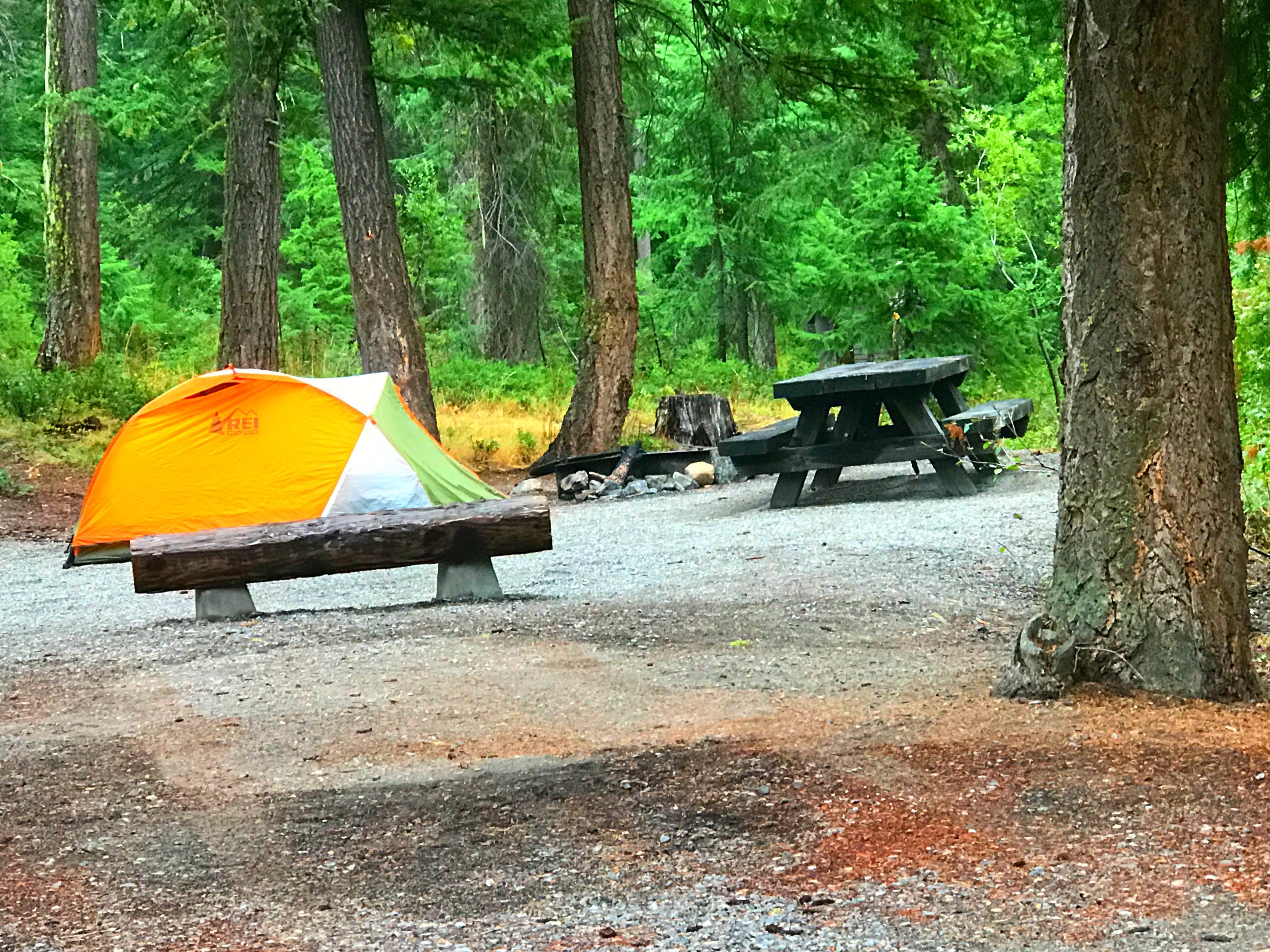 Crystal C.'s photo at Klipchuck Campground near Mazama, WA