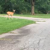 Review photo of Caesar Creek State Park Campground by Nicole C., September 2, 2017