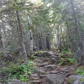 Review photo of Rock Harbor Campground — Isle Royale National Park by Matt S., March 6, 2020