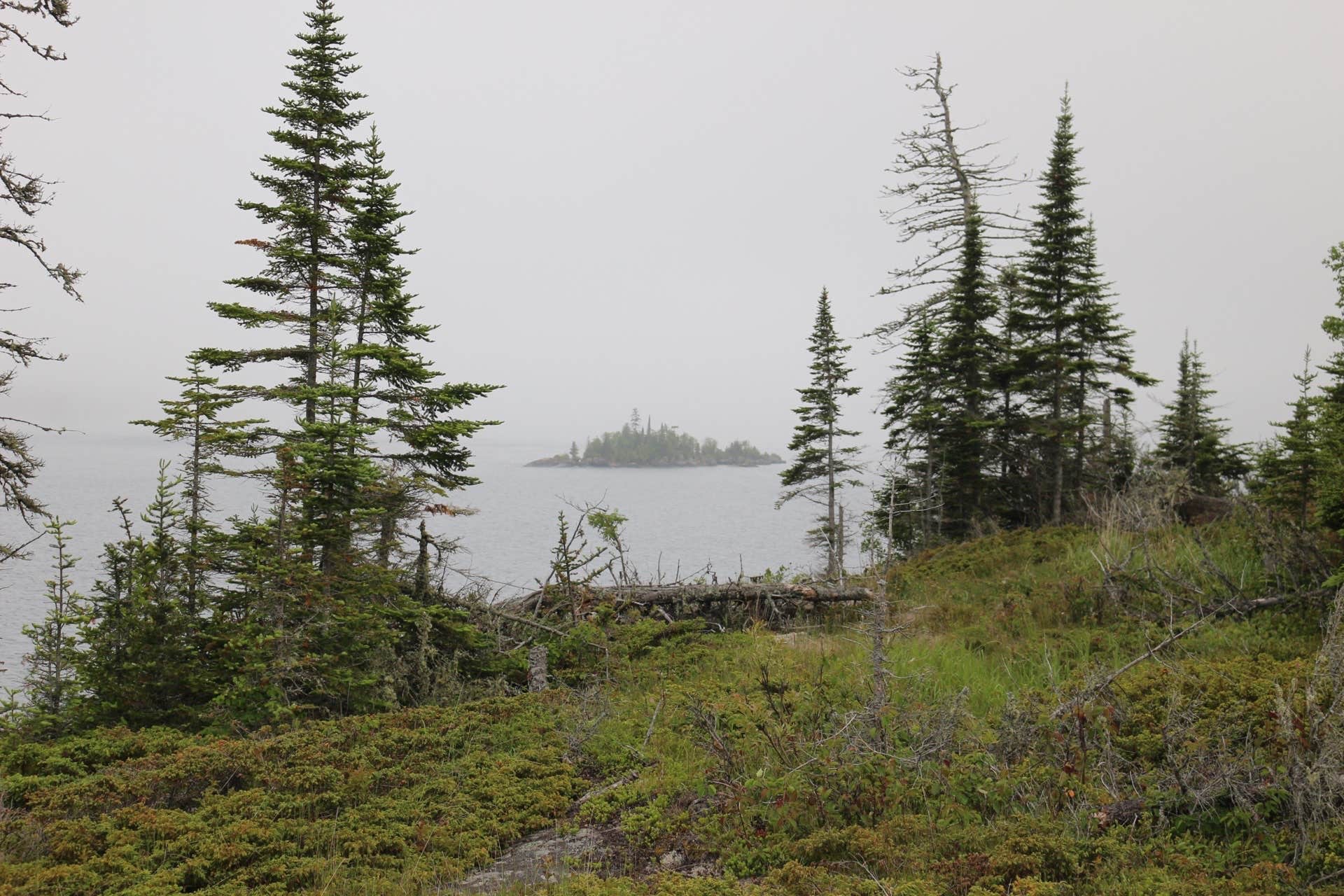 Camper-submitted photo at Three Mile Campground — Isle Royale National Park near Isle Royale National Park