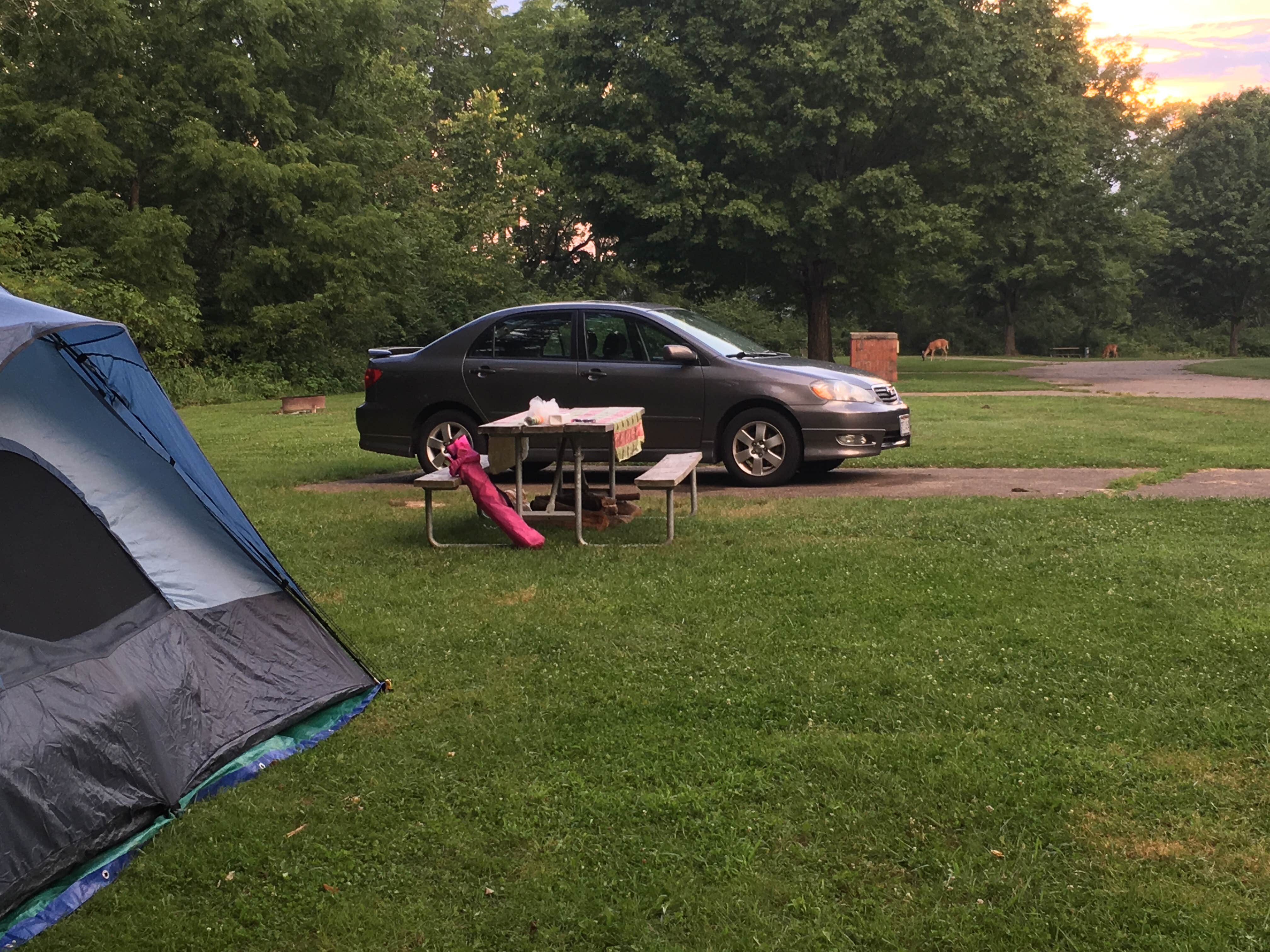 Nicole C.'s photo at Caesar Creek State Park Campground near South Lebanon, OH