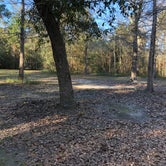 Review photo of Buccaneer State Park Campground by Lee D., March 6, 2020