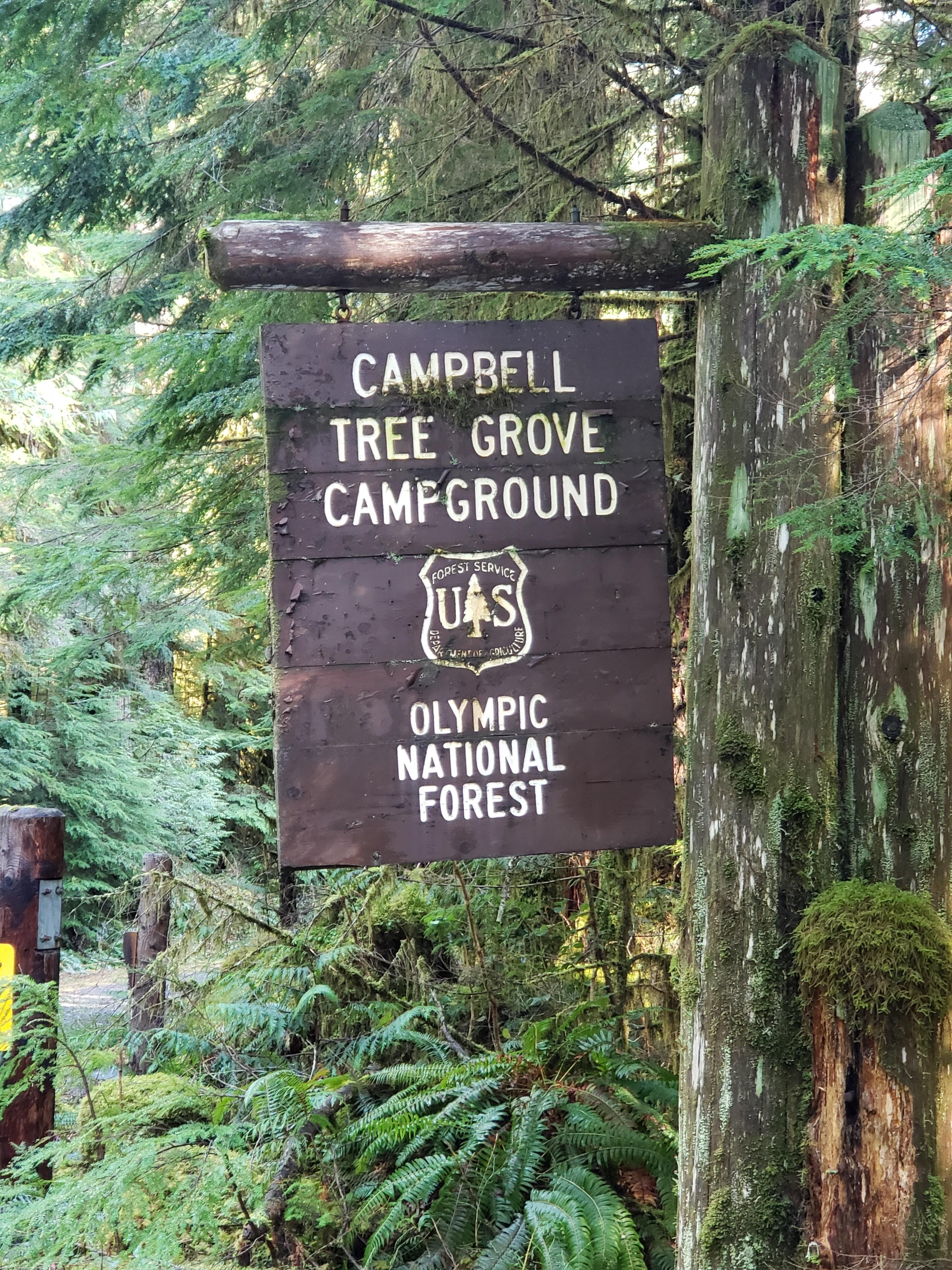 Camper submitted image from Campbell Tree Grove Campground - 5