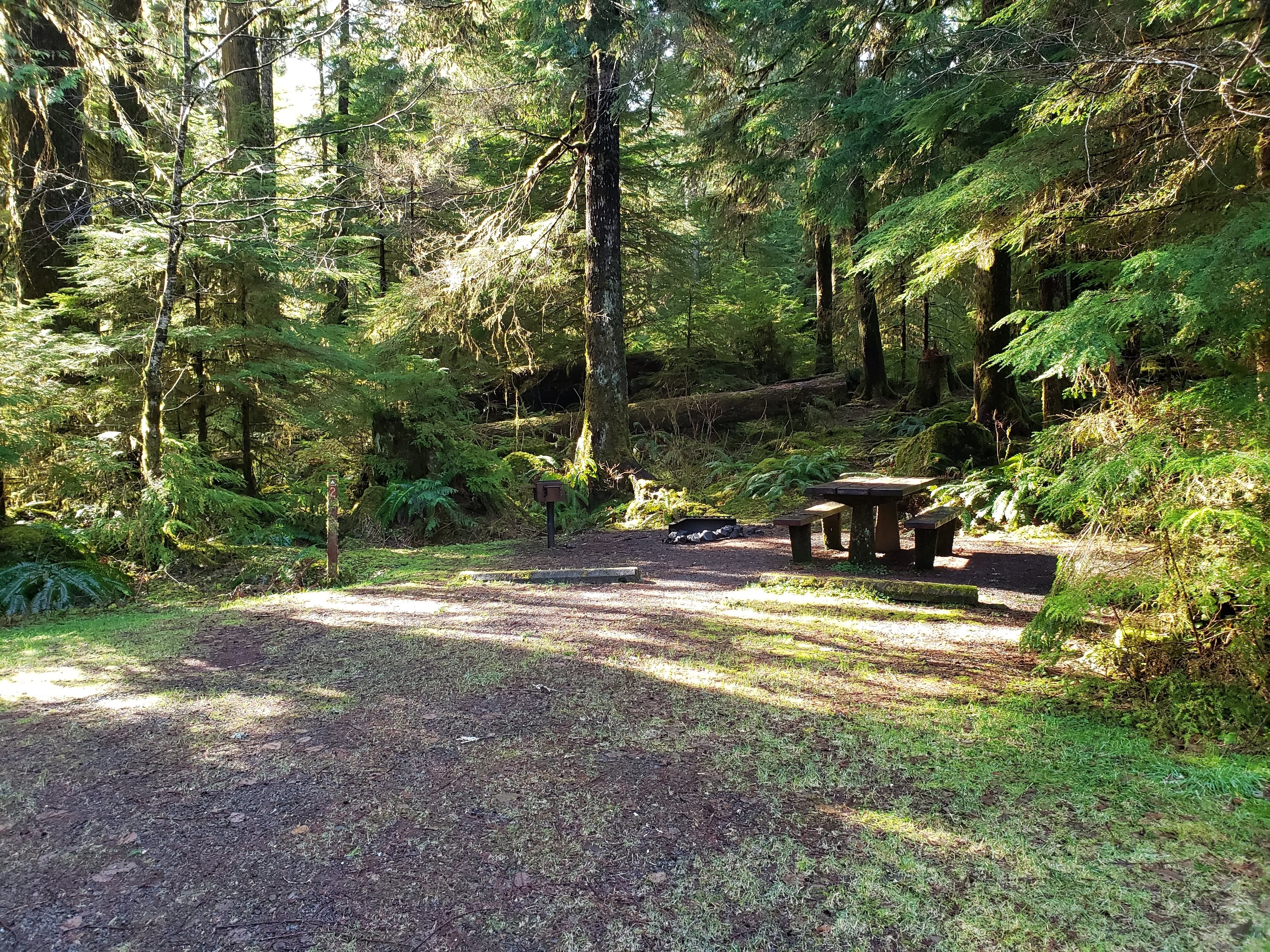 Camper submitted image from Campbell Tree Grove Campground - 3