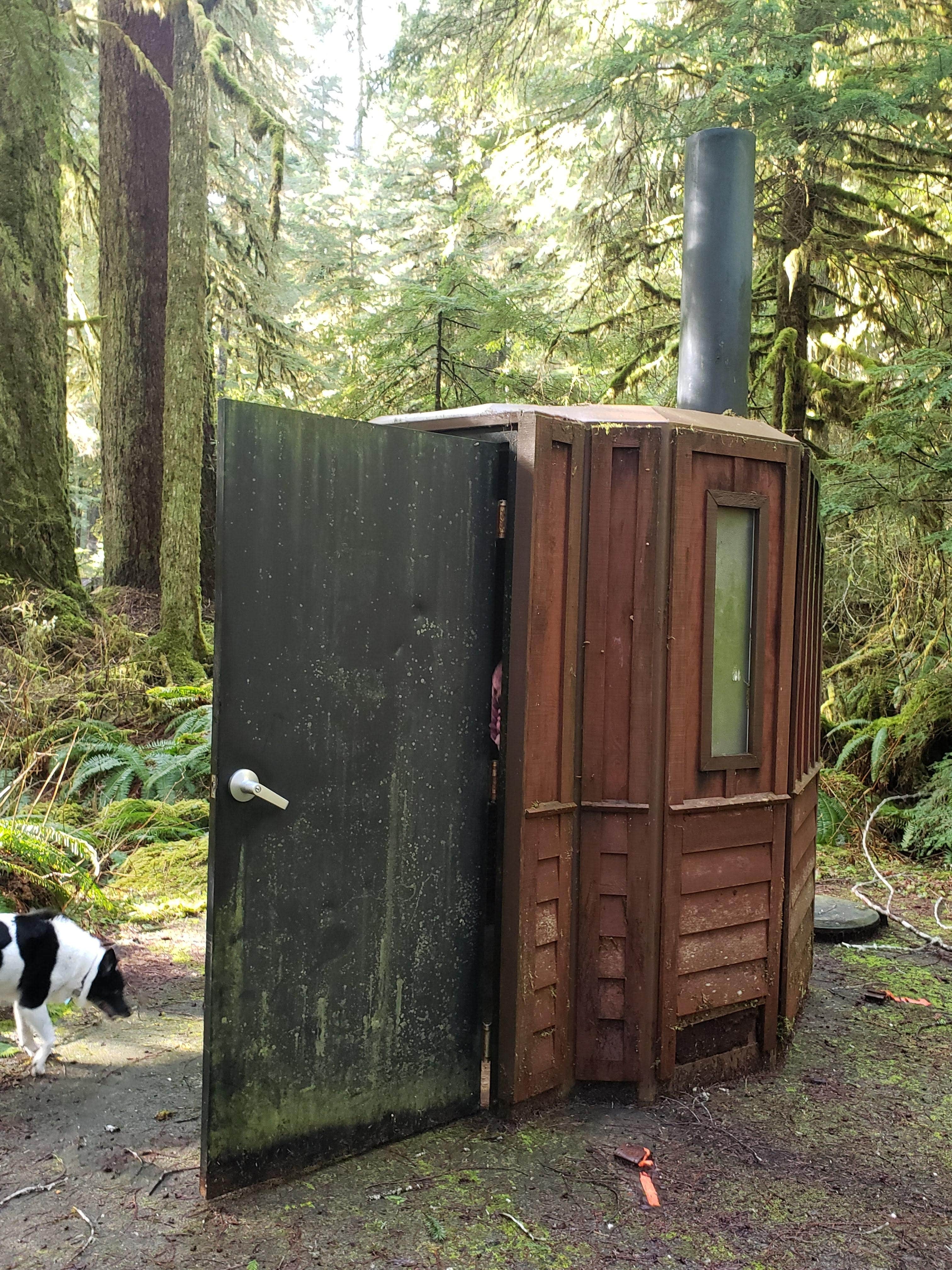 SIMPLEGRINN A.'s photo of camping with pets at Campbell Tree Grove Campground near Olympic National Forest