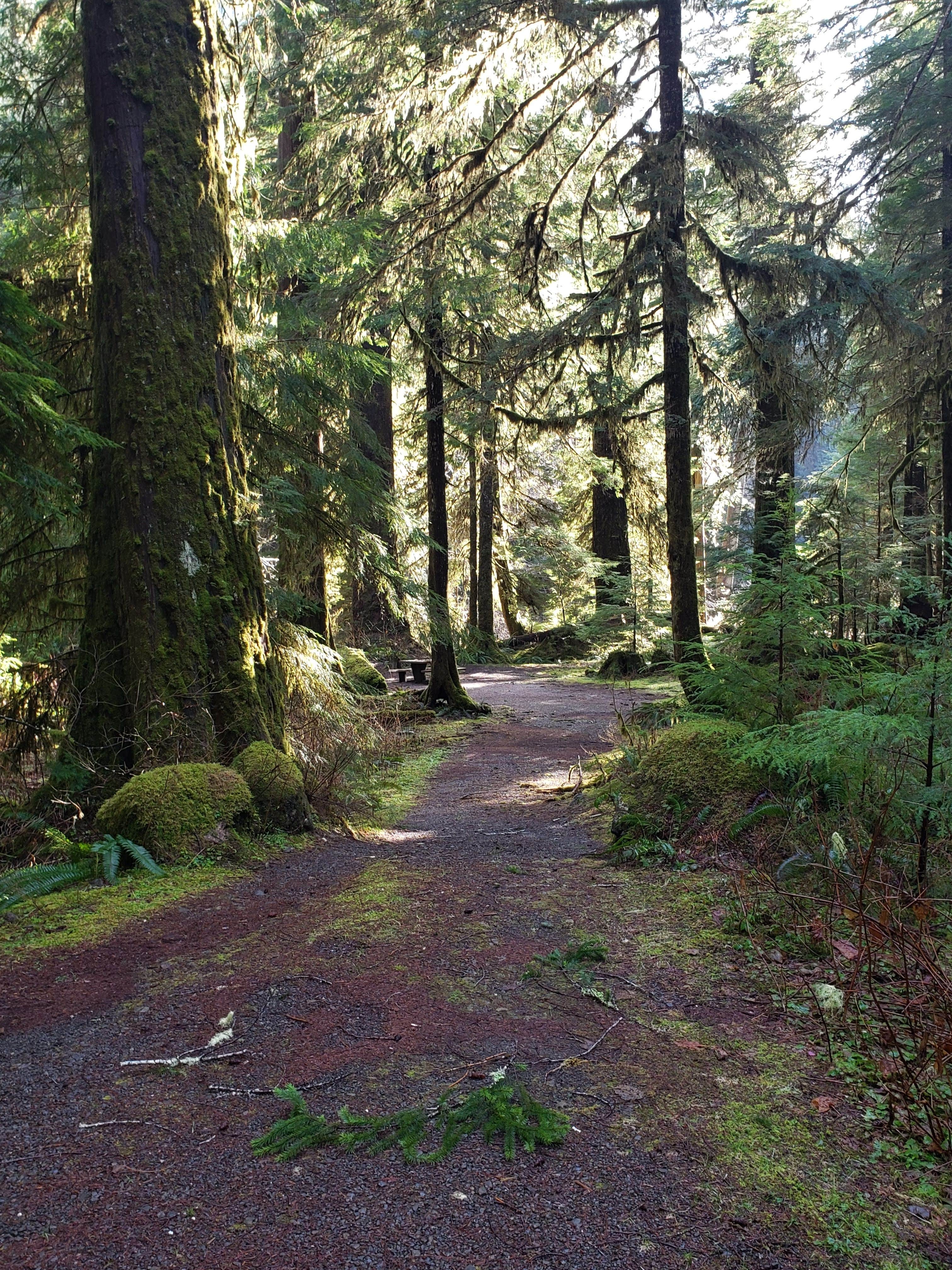Camper submitted image from Campbell Tree Grove Campground - 5