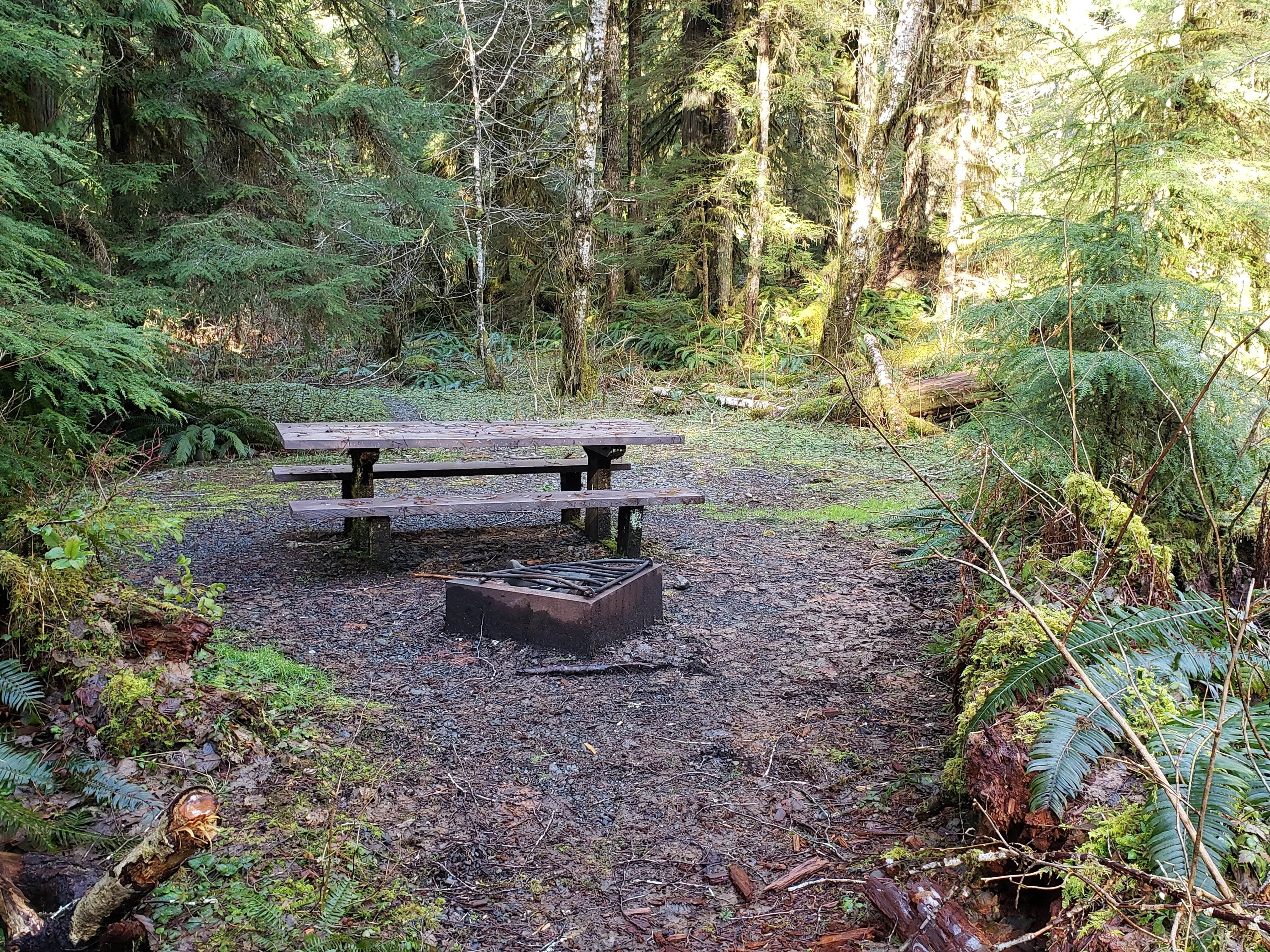 Camper-submitted photo at Campbell Tree Grove Campground near Olympic National Forest