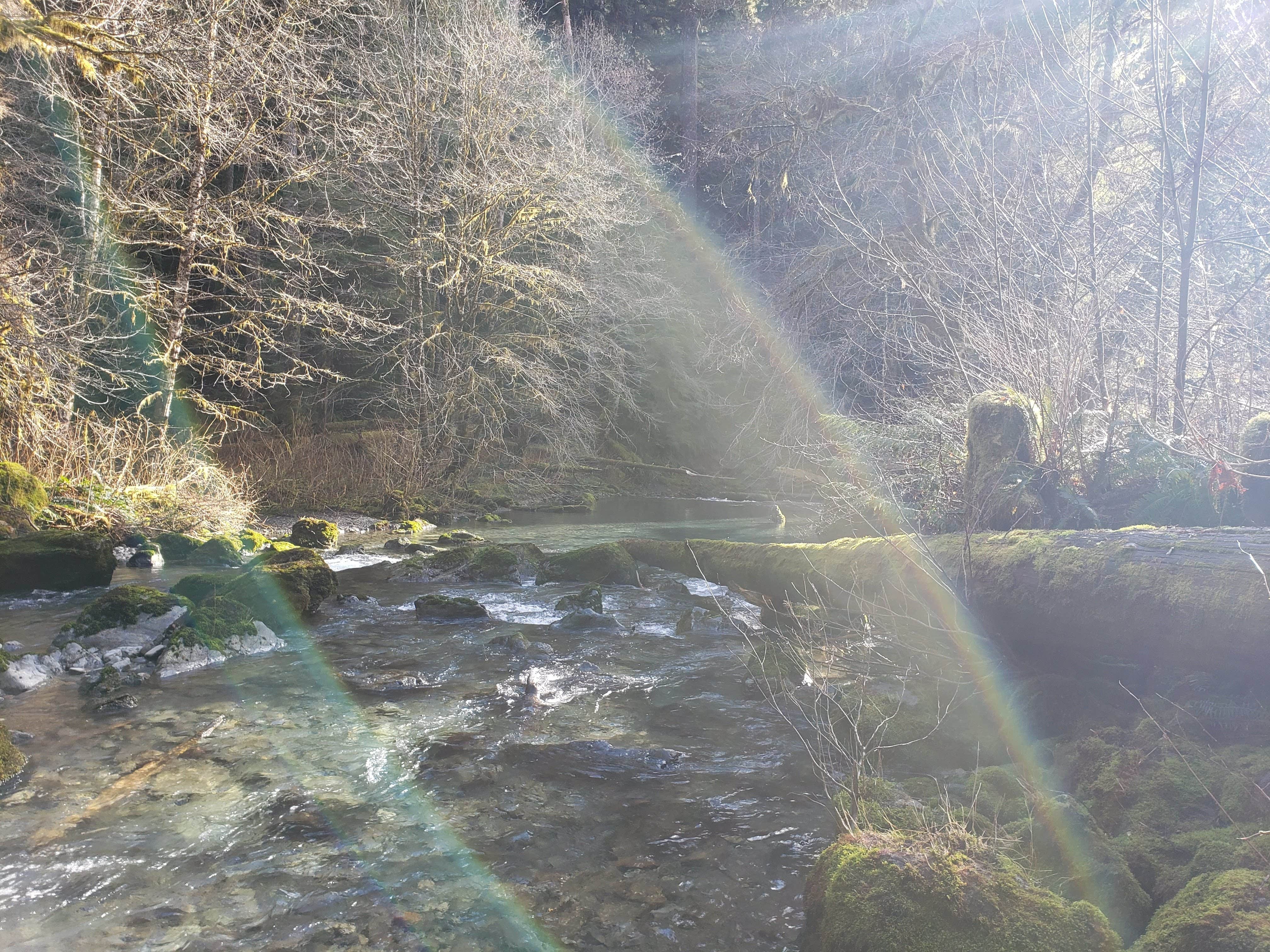 Camper-submitted photo at Campbell Tree Grove Campground near Olympic National Forest