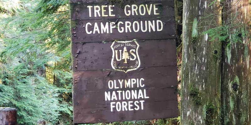 Camper submitted image from Campbell Tree Grove Campground