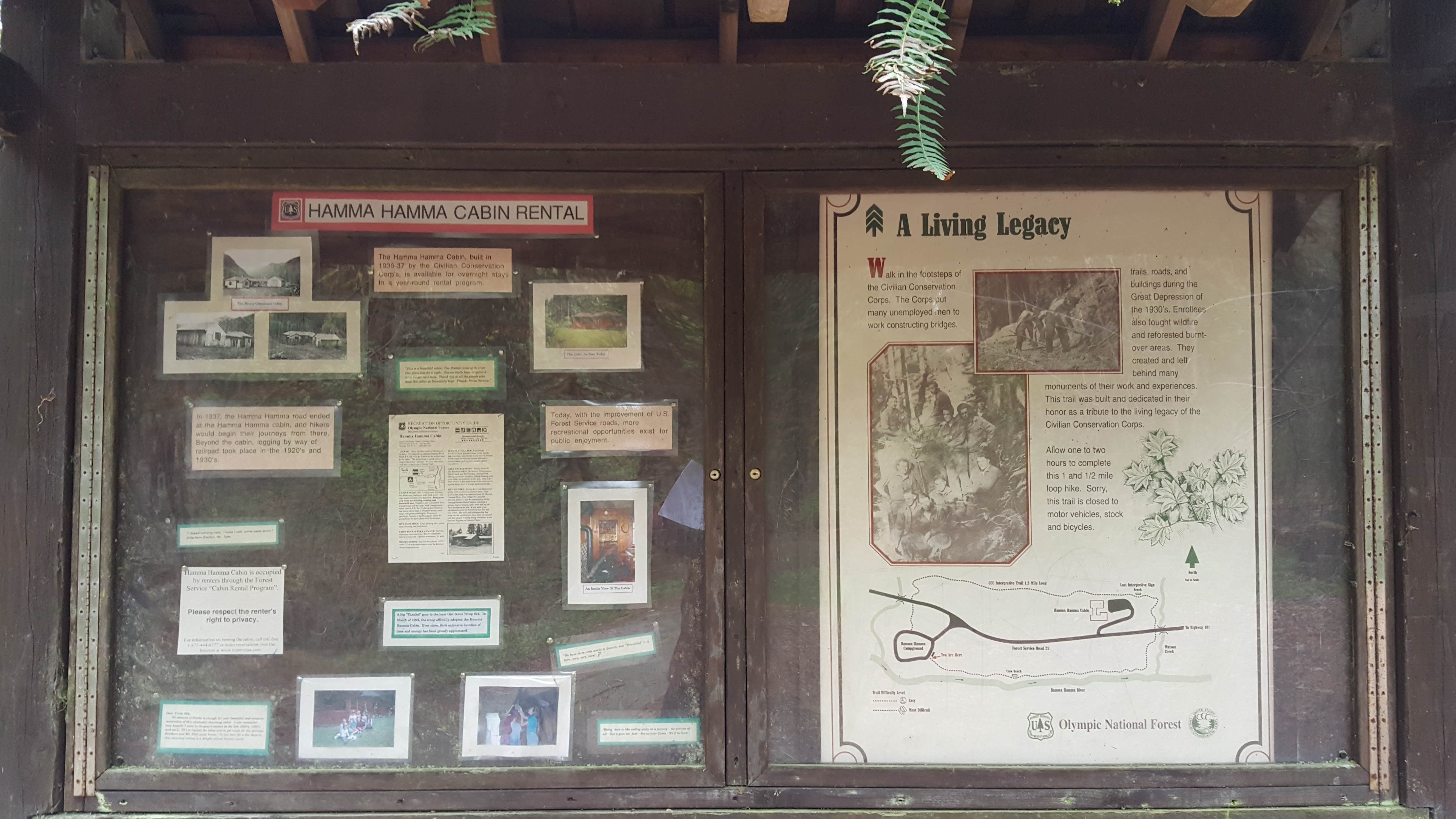 Camper-submitted photo at Hamma Hamma Campground near Belfair, WA