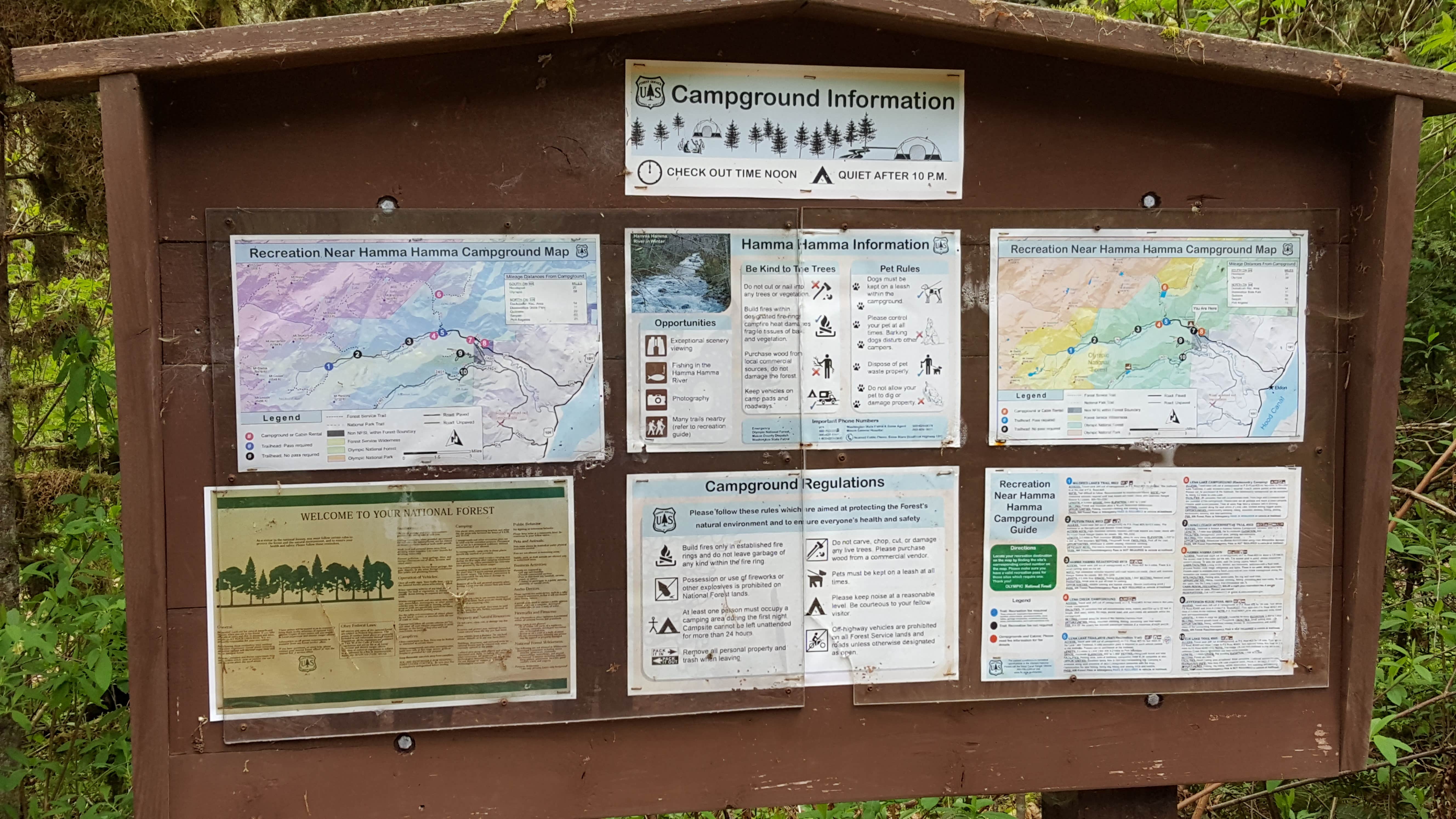 Camper-submitted photo at Hamma Hamma Campground near Belfair, WA