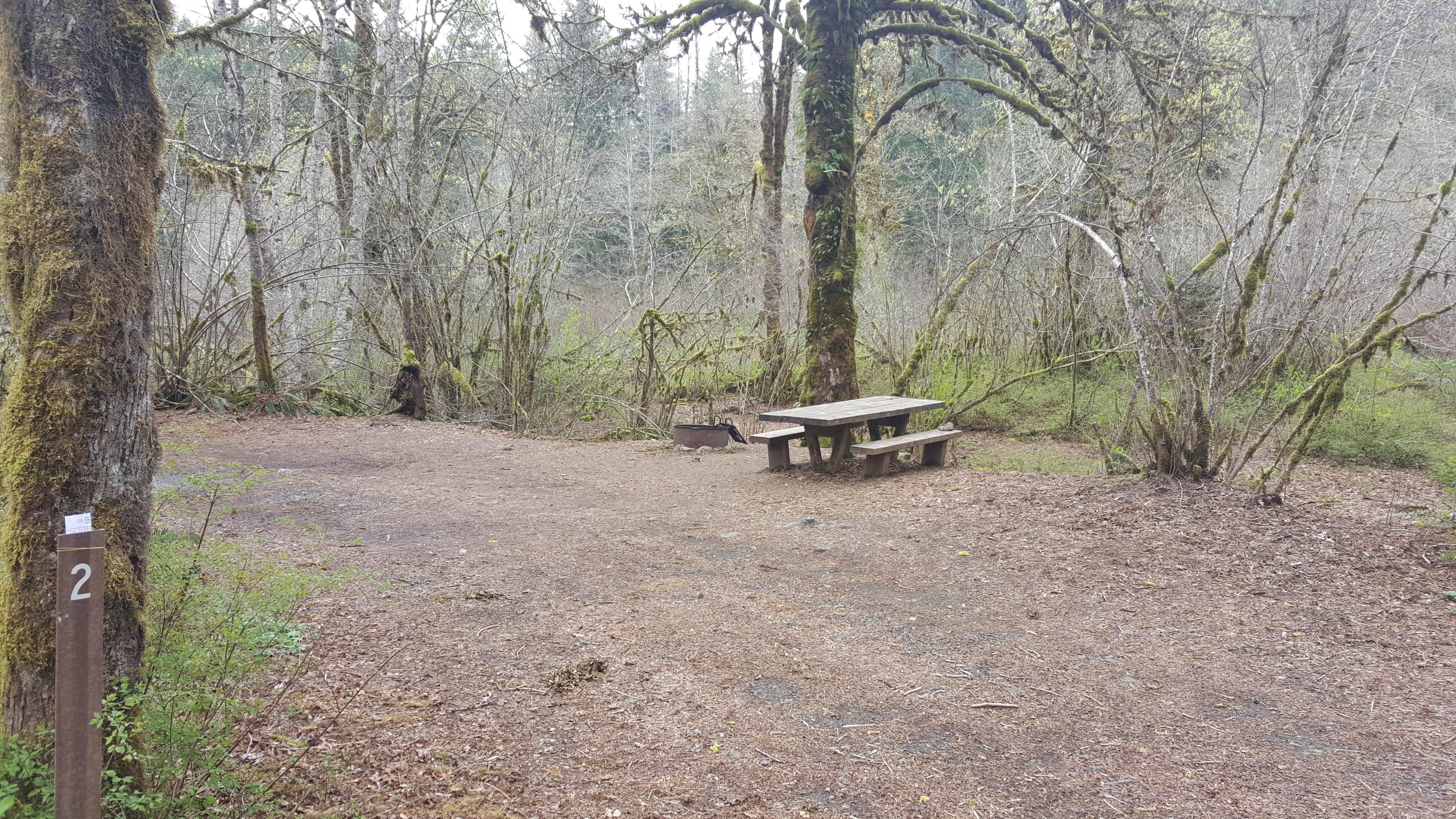 Camper submitted image from Brown Creek Campground - 5