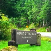 Review photo of Heart O' the Hills Campground — Olympic National Park by Crystal C., March 6, 2020