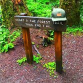 Review photo of Heart O' the Hills Campground — Olympic National Park by Crystal C., March 6, 2020